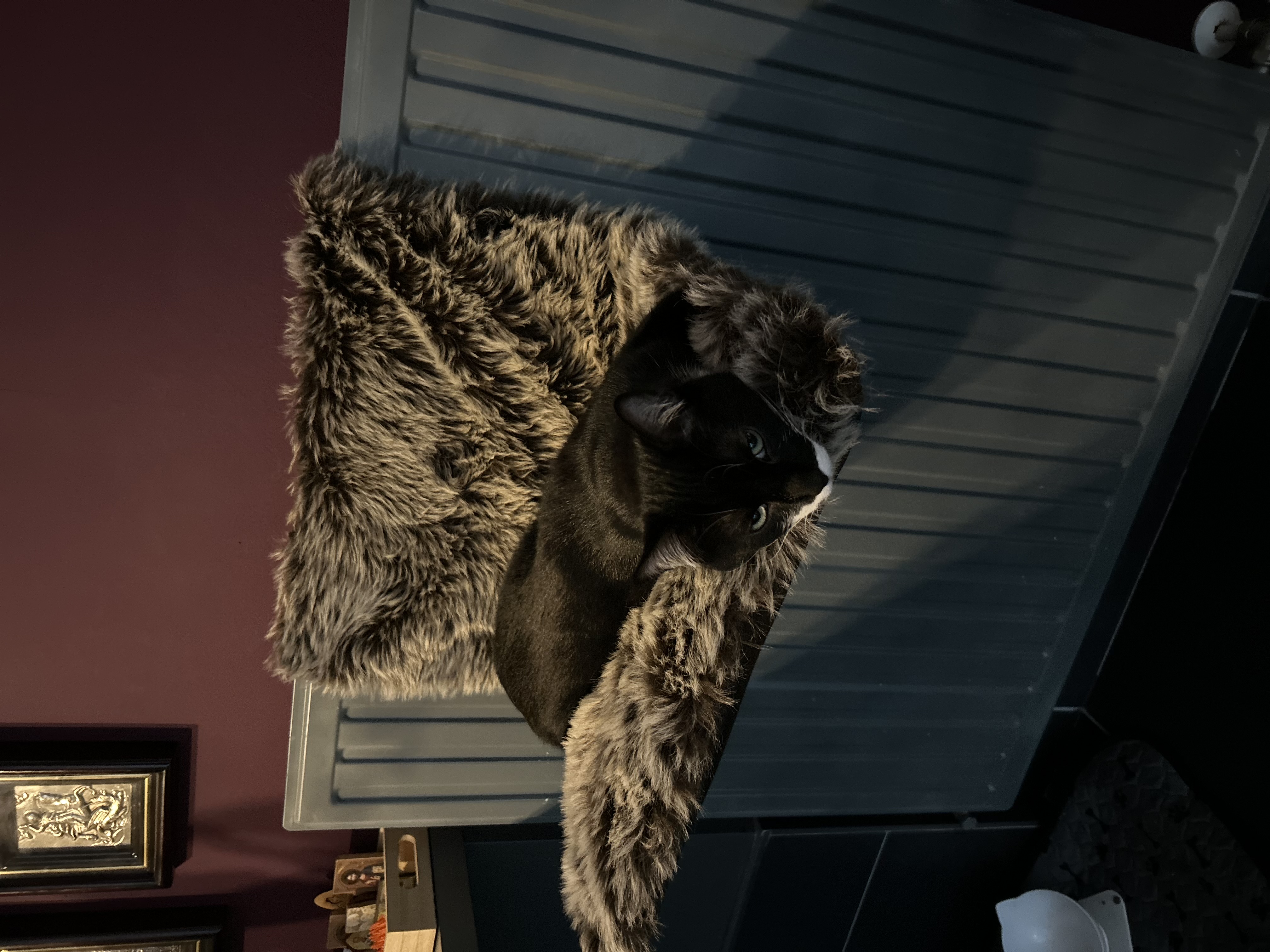 image-6