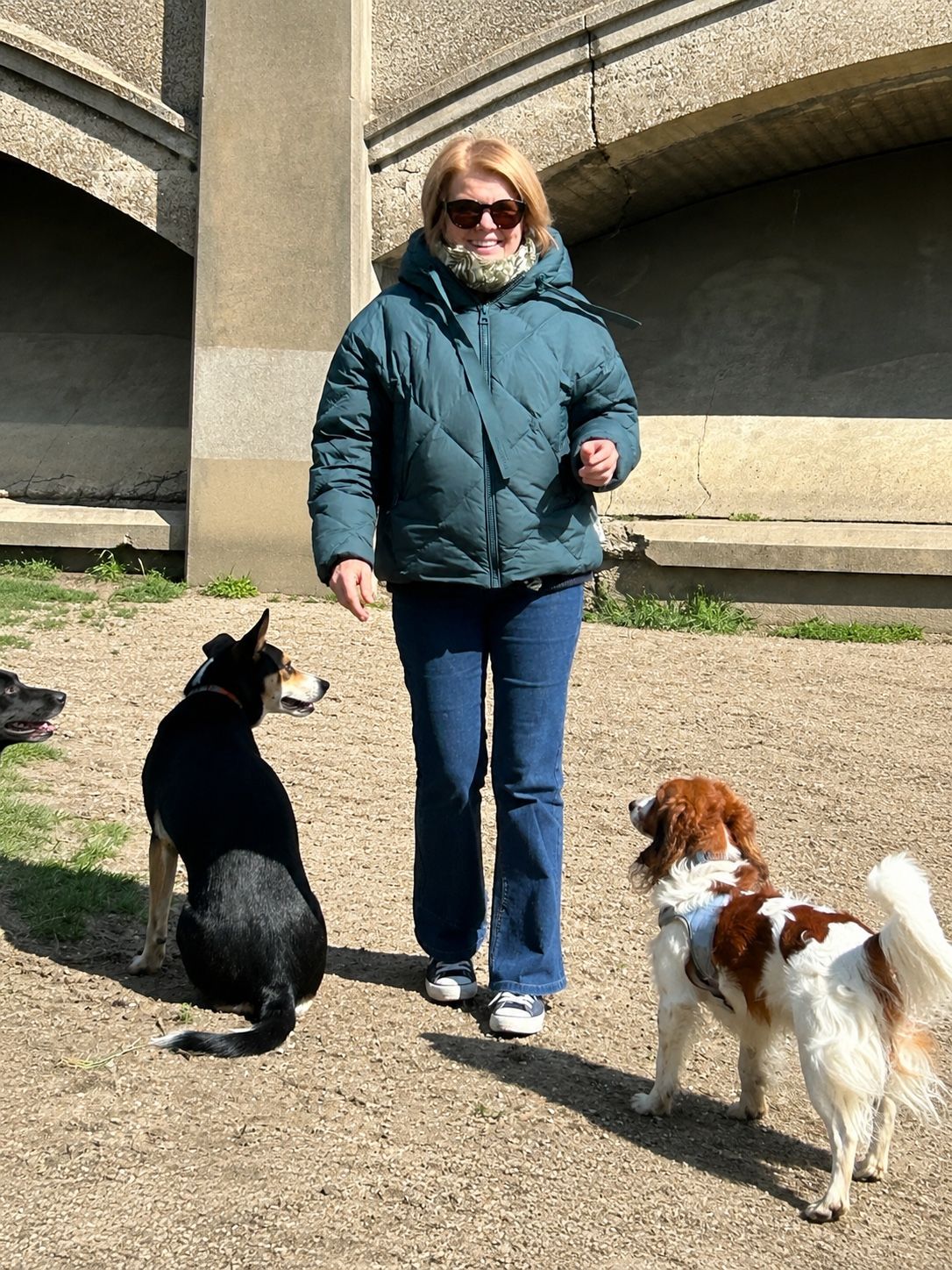 image-12