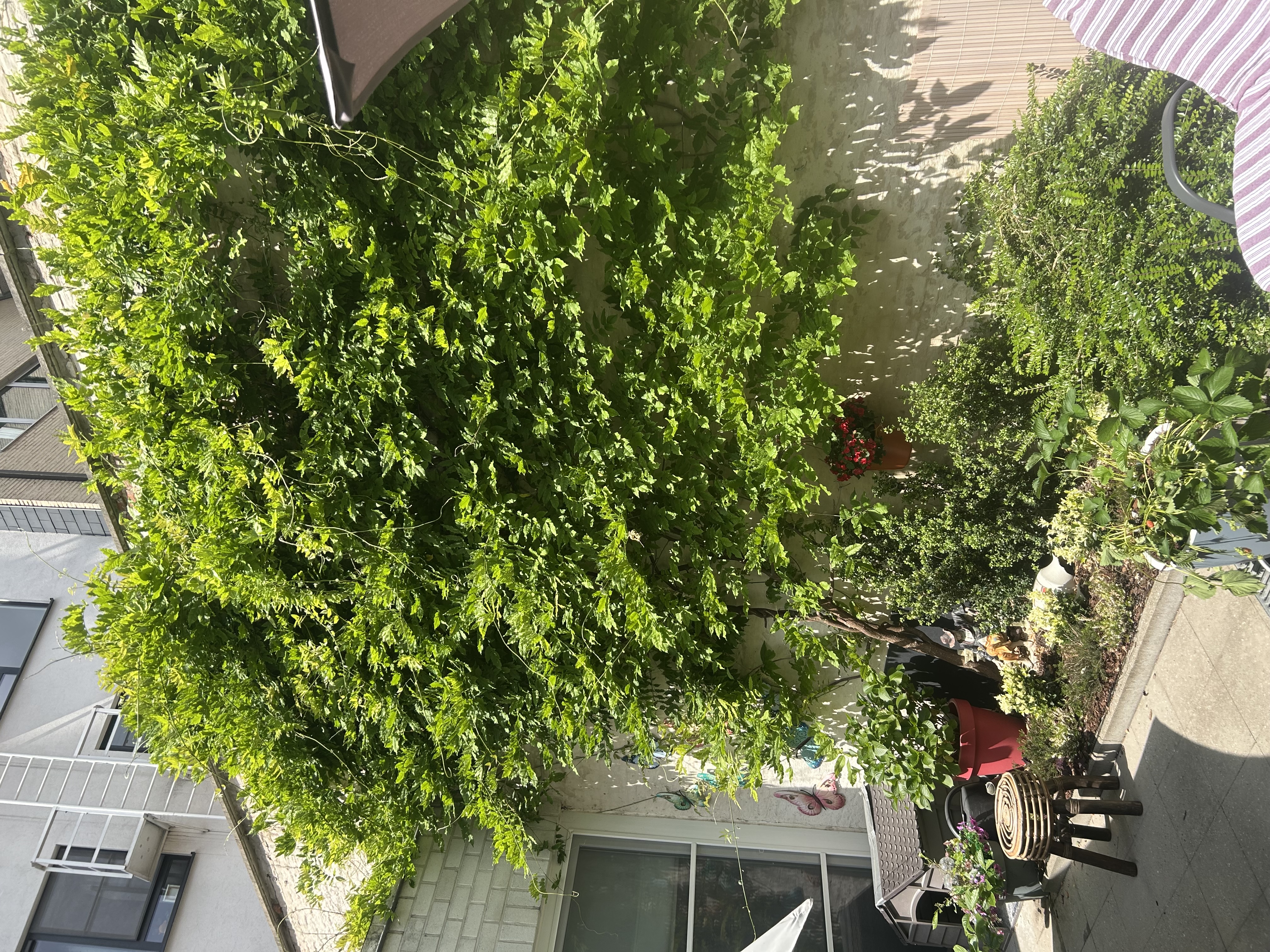 image-14