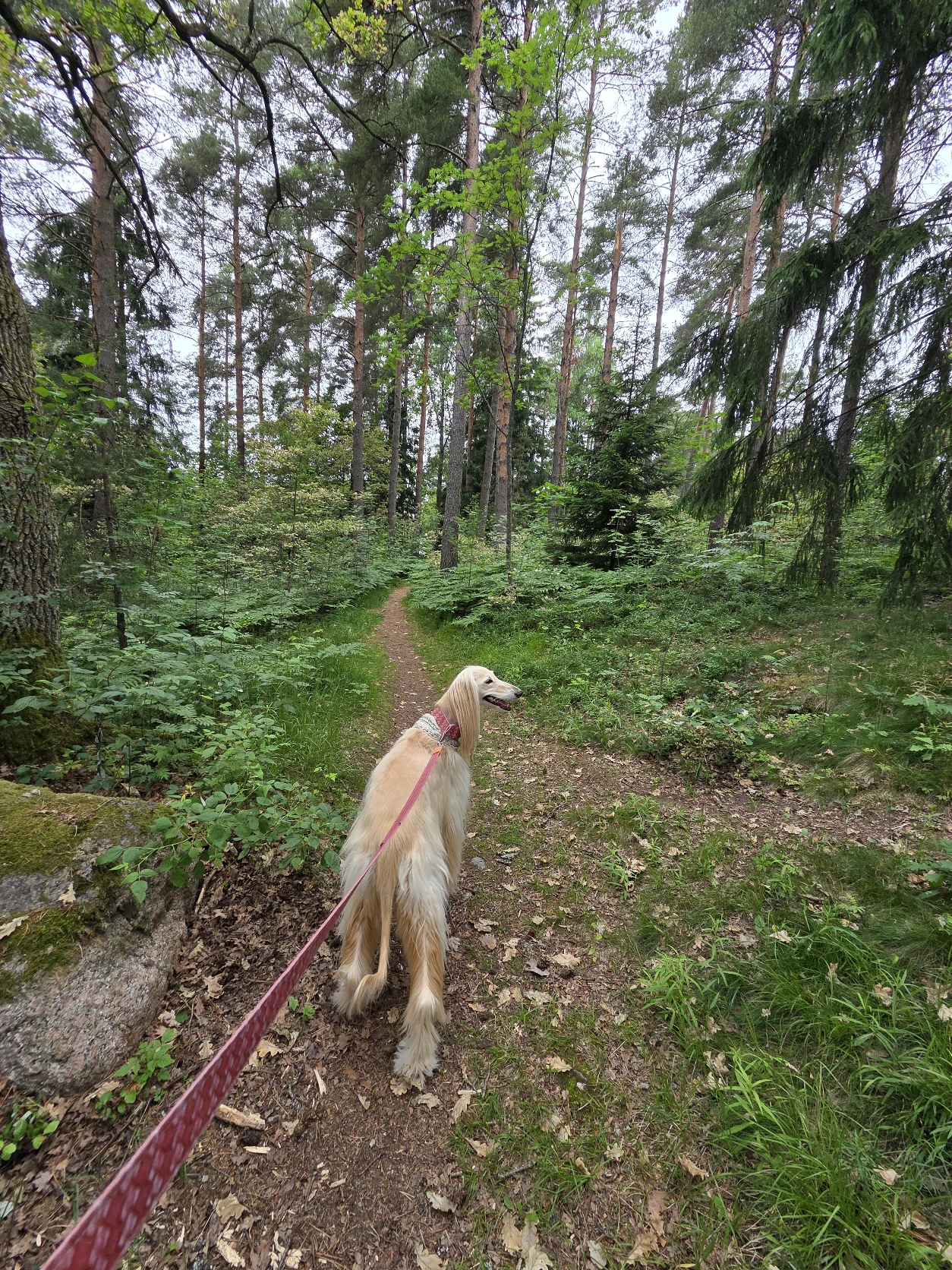image-5