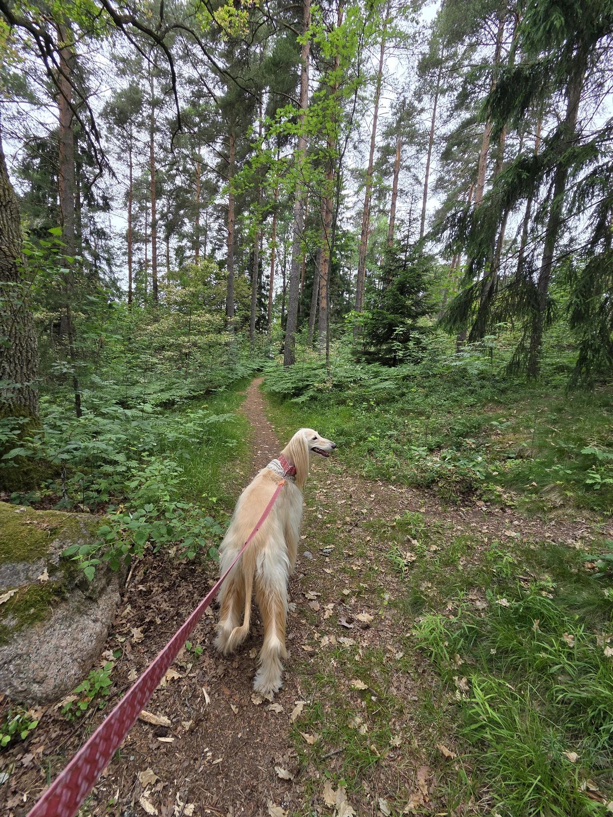image-5