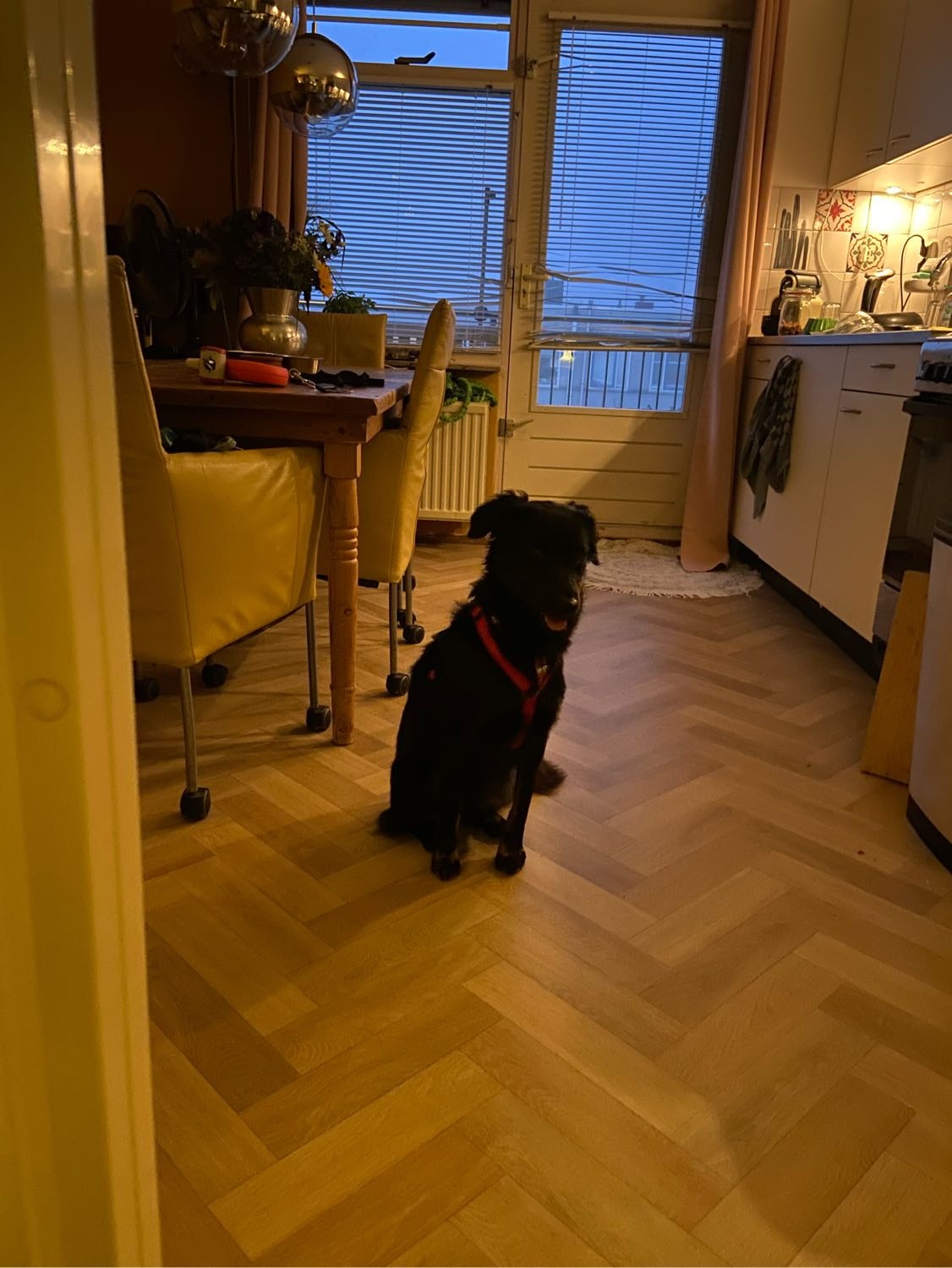 image-3