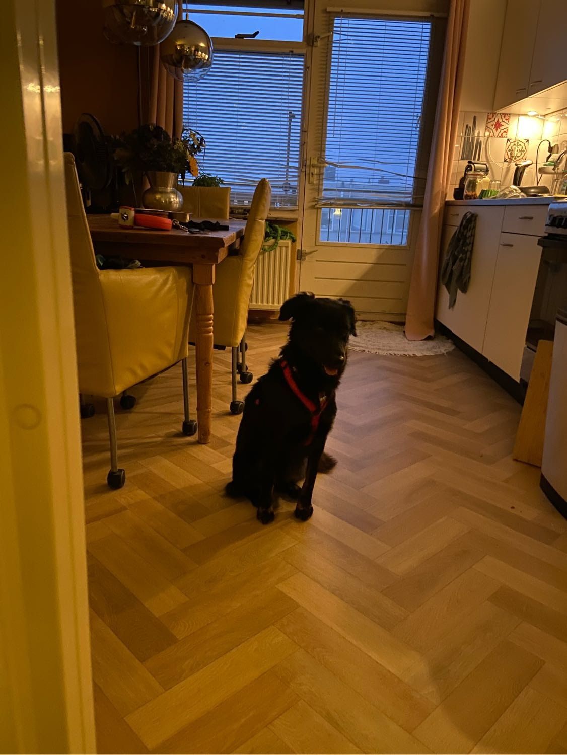 image-3
