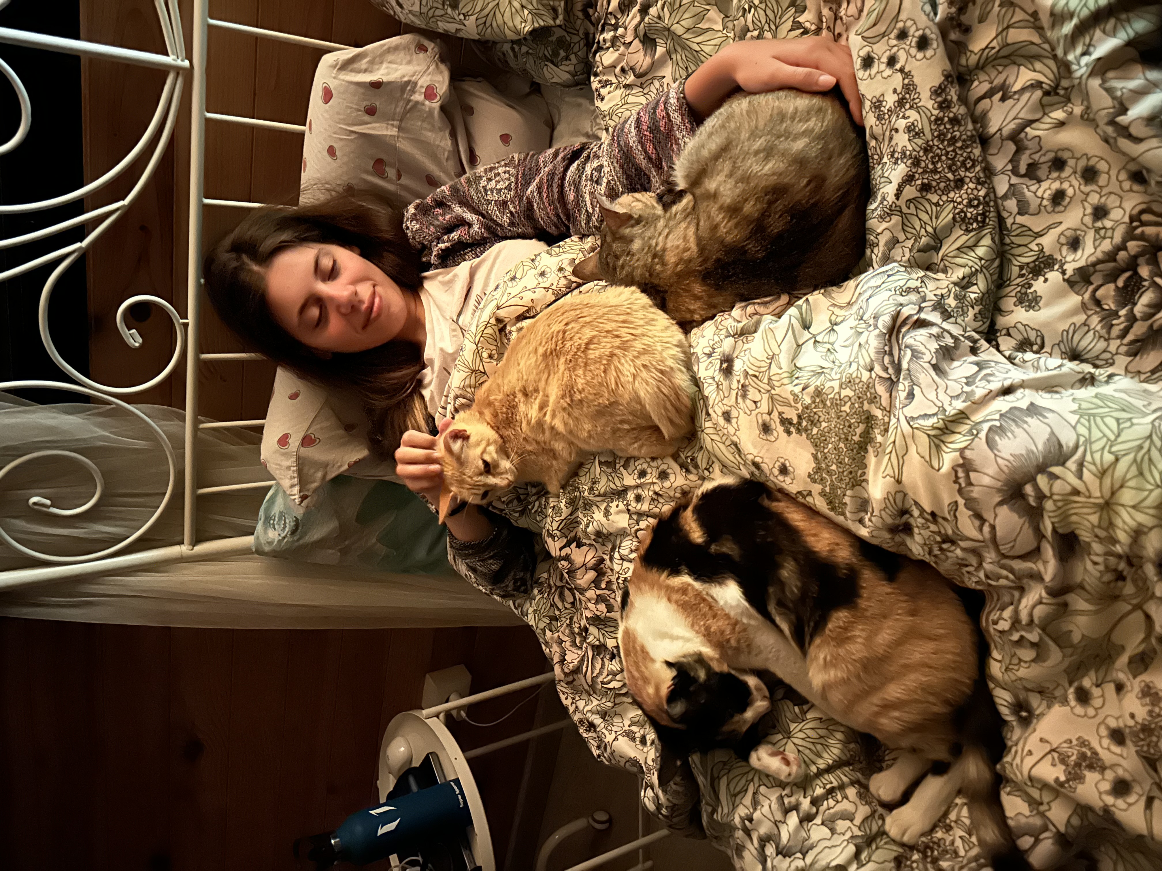 image-8