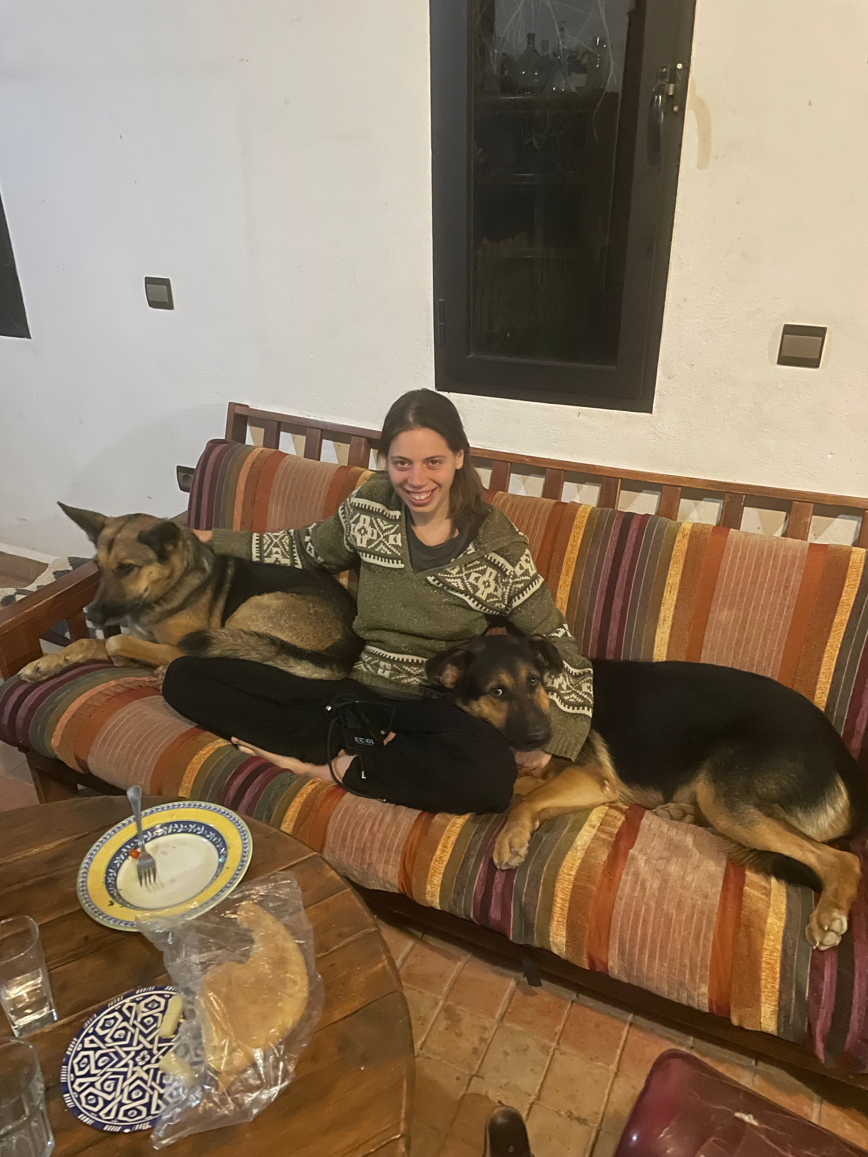 image-7
