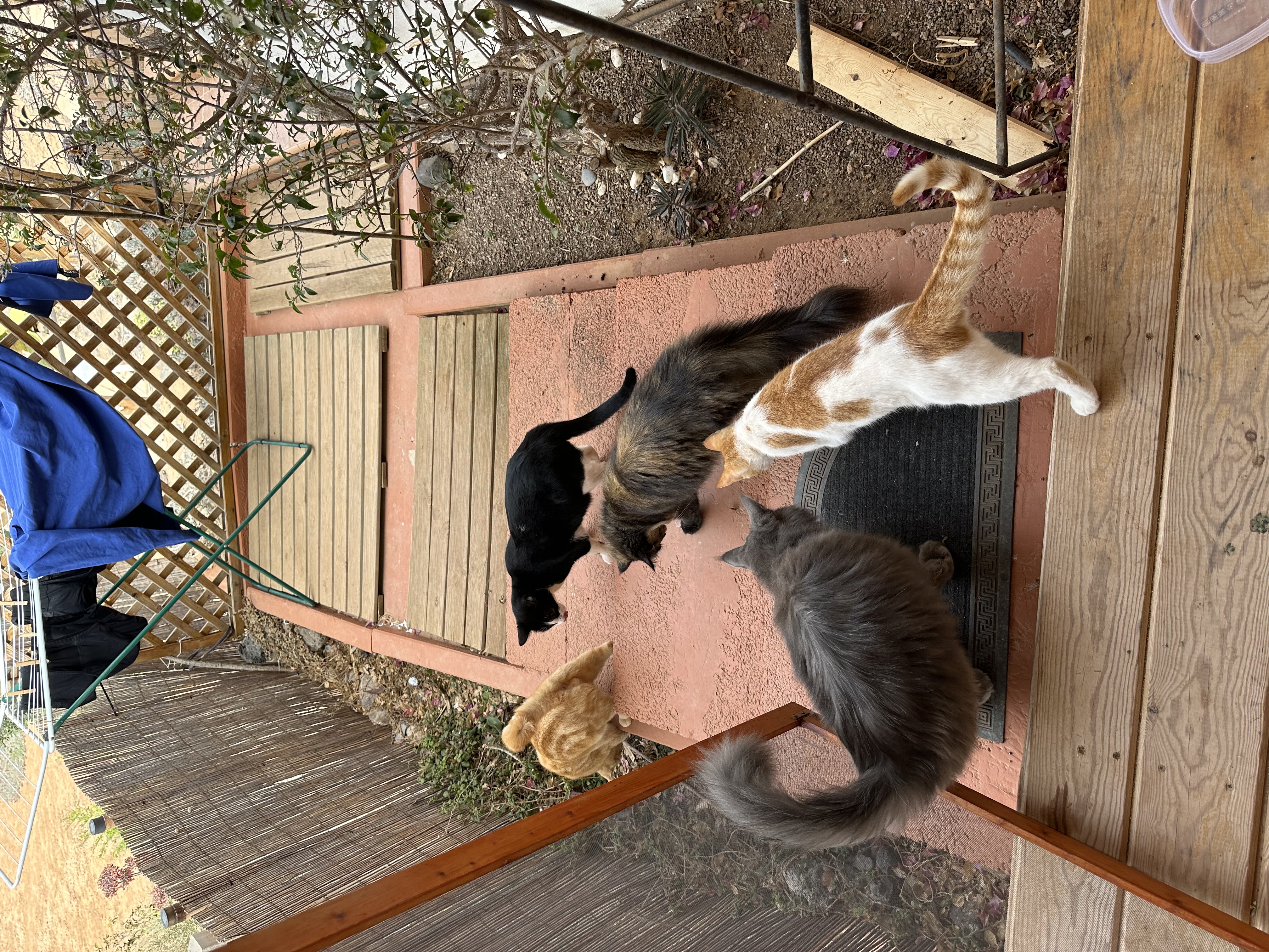 image-3