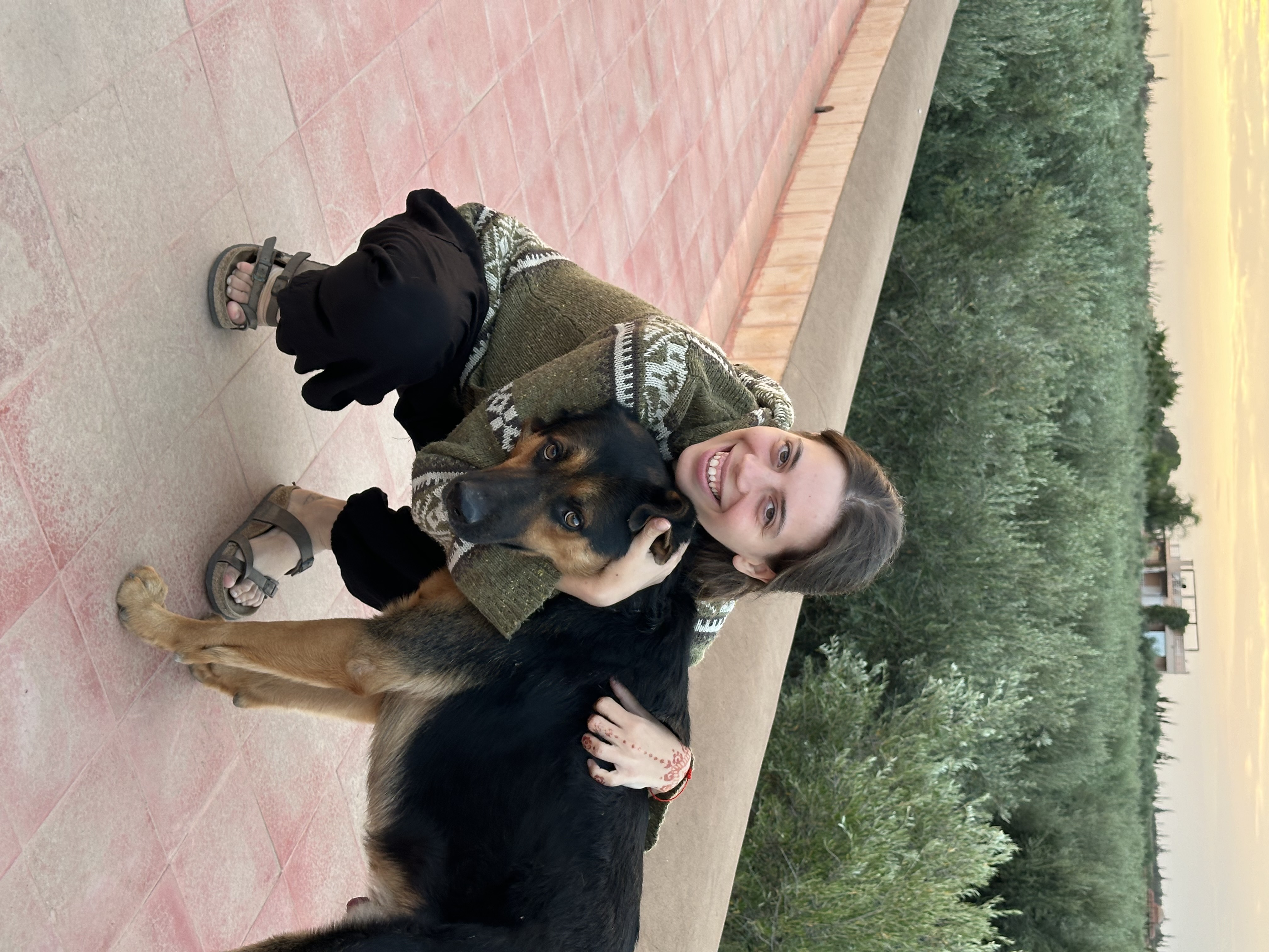 image-6