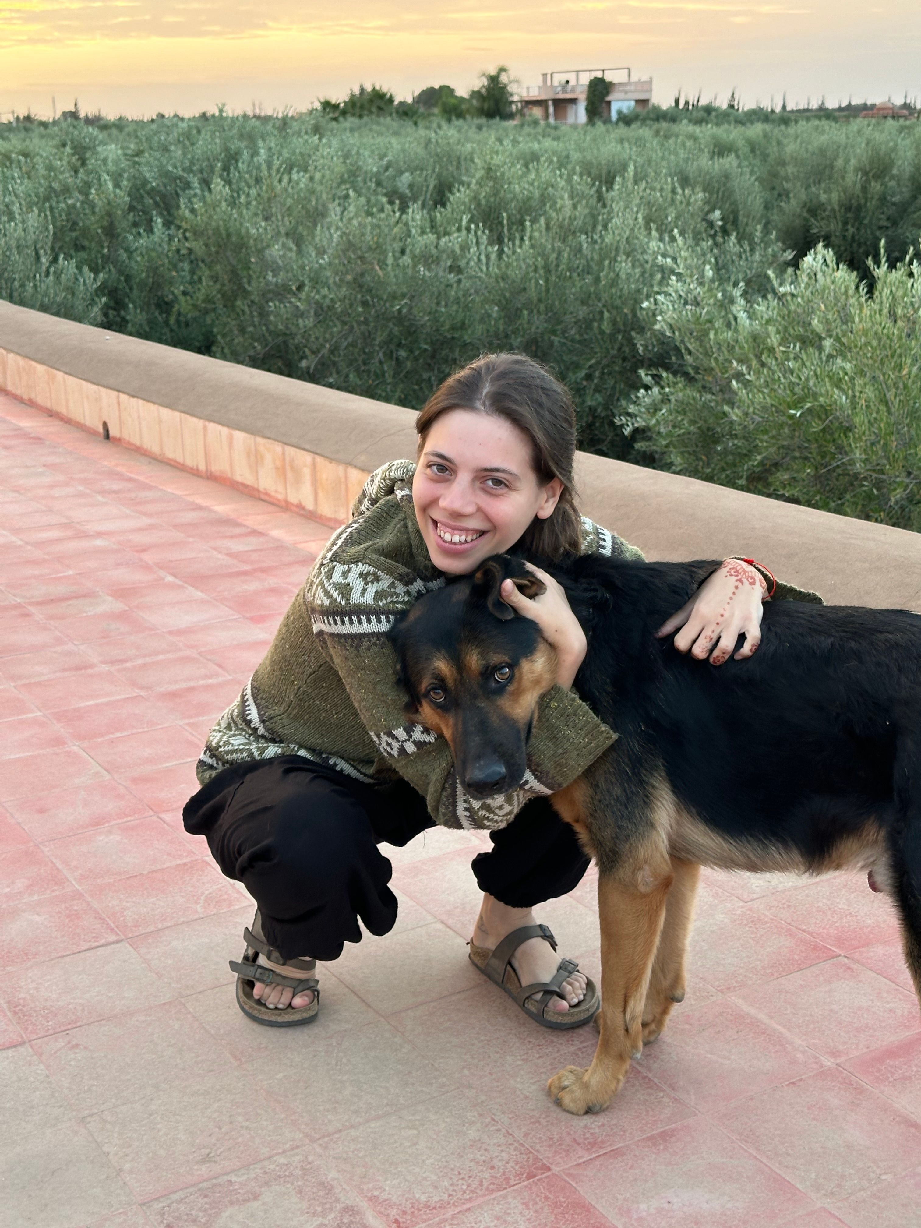 image-6
