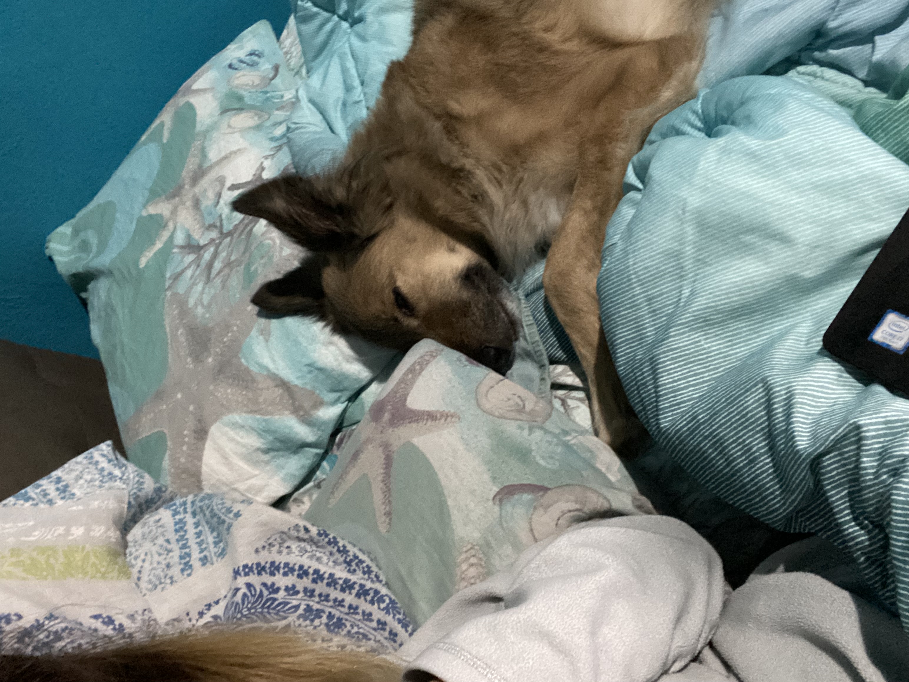 image-9