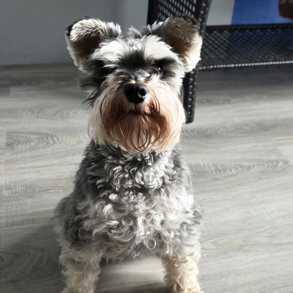 Mia 