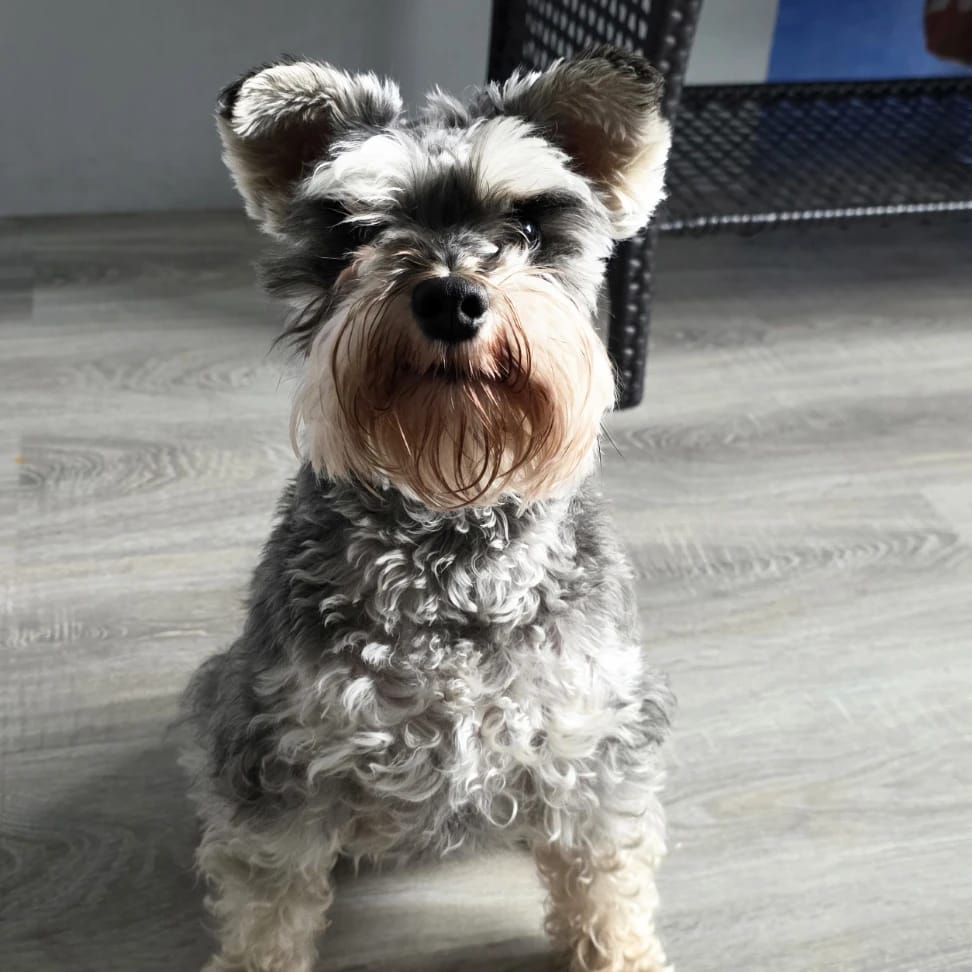 Mia