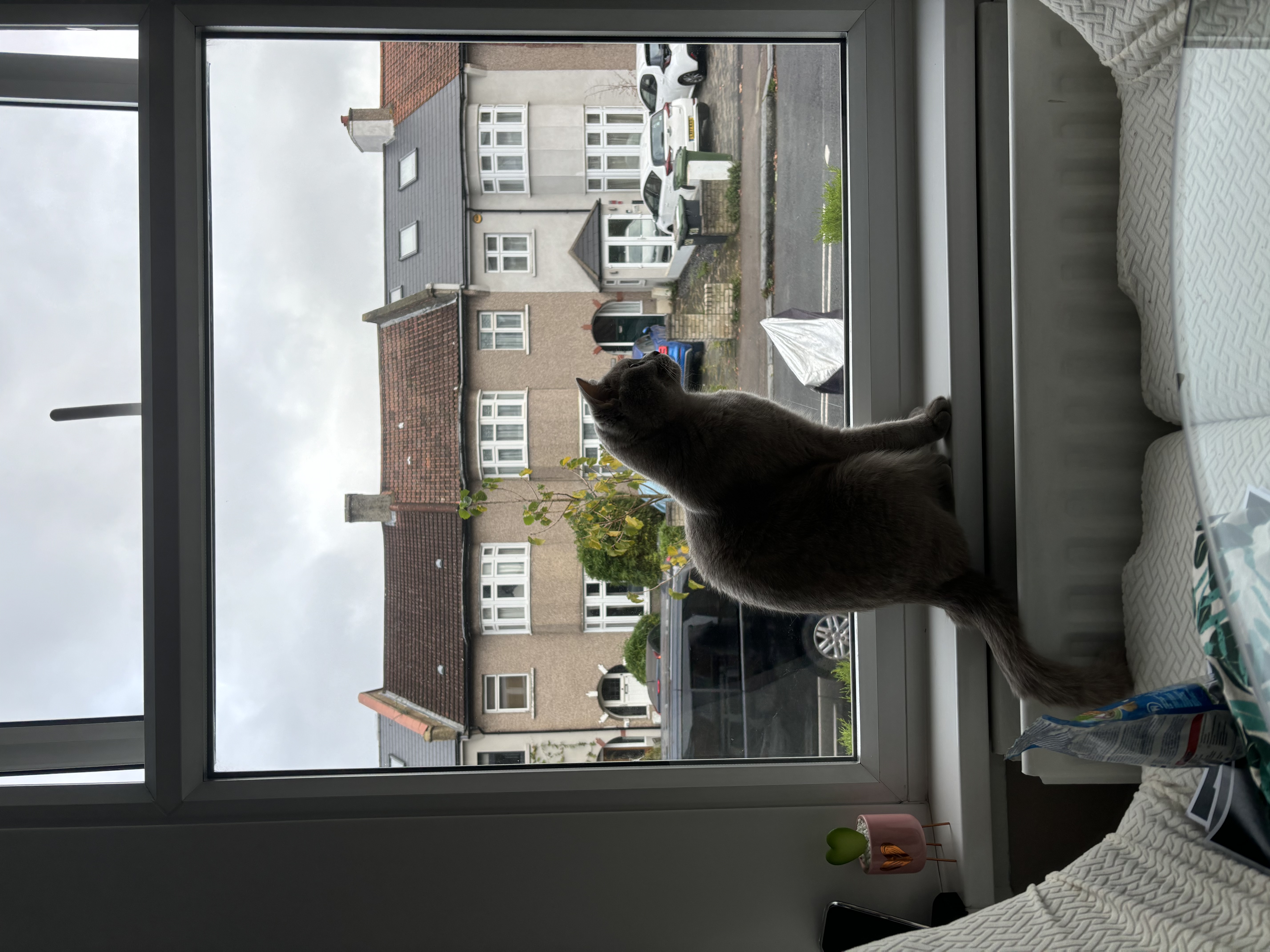 image-34