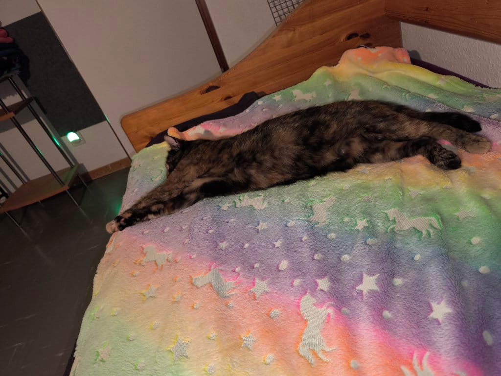 Mia