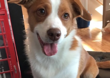 Maggie