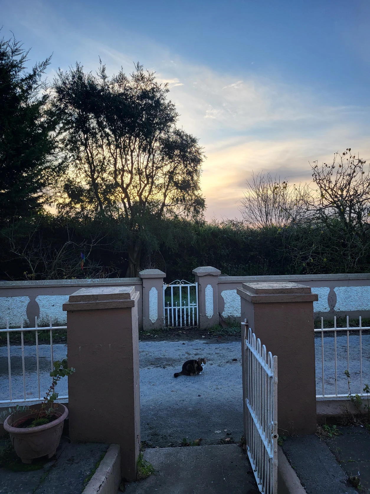 image-18