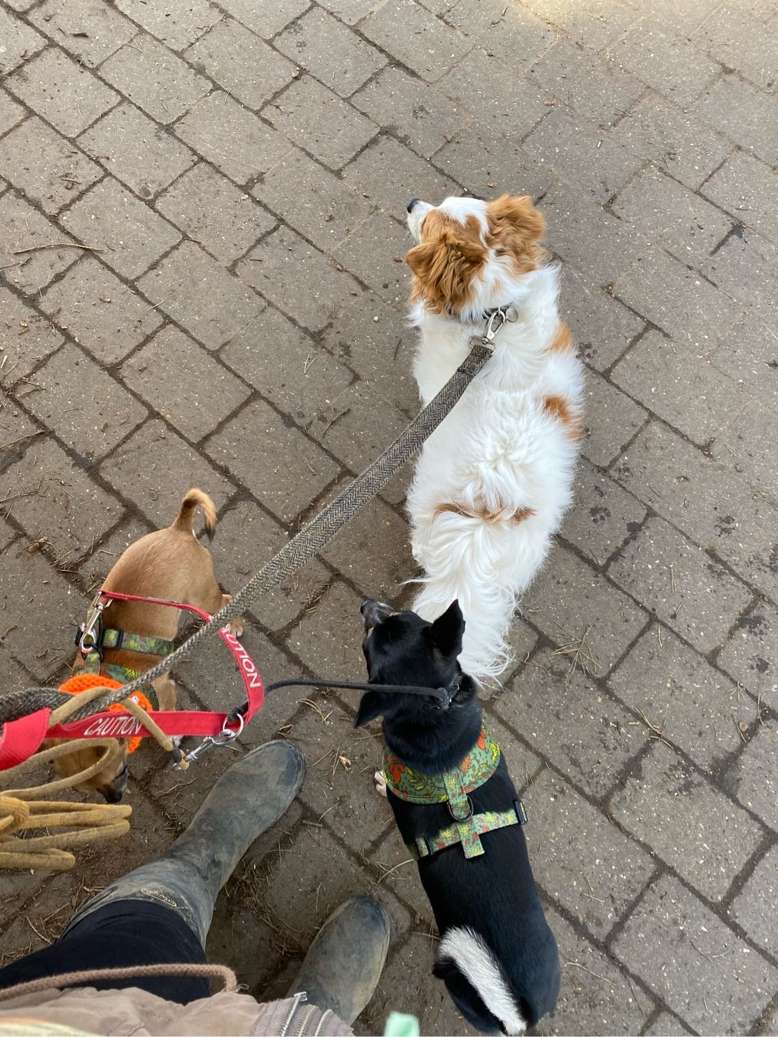 image-28