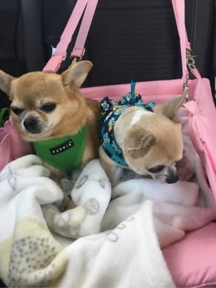 image-21