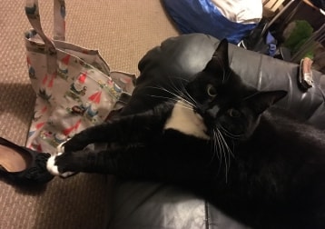 Bella