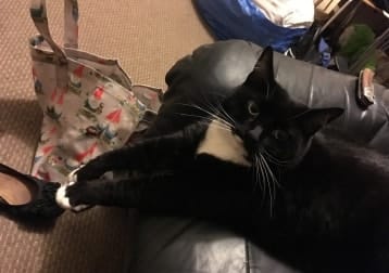 Bella