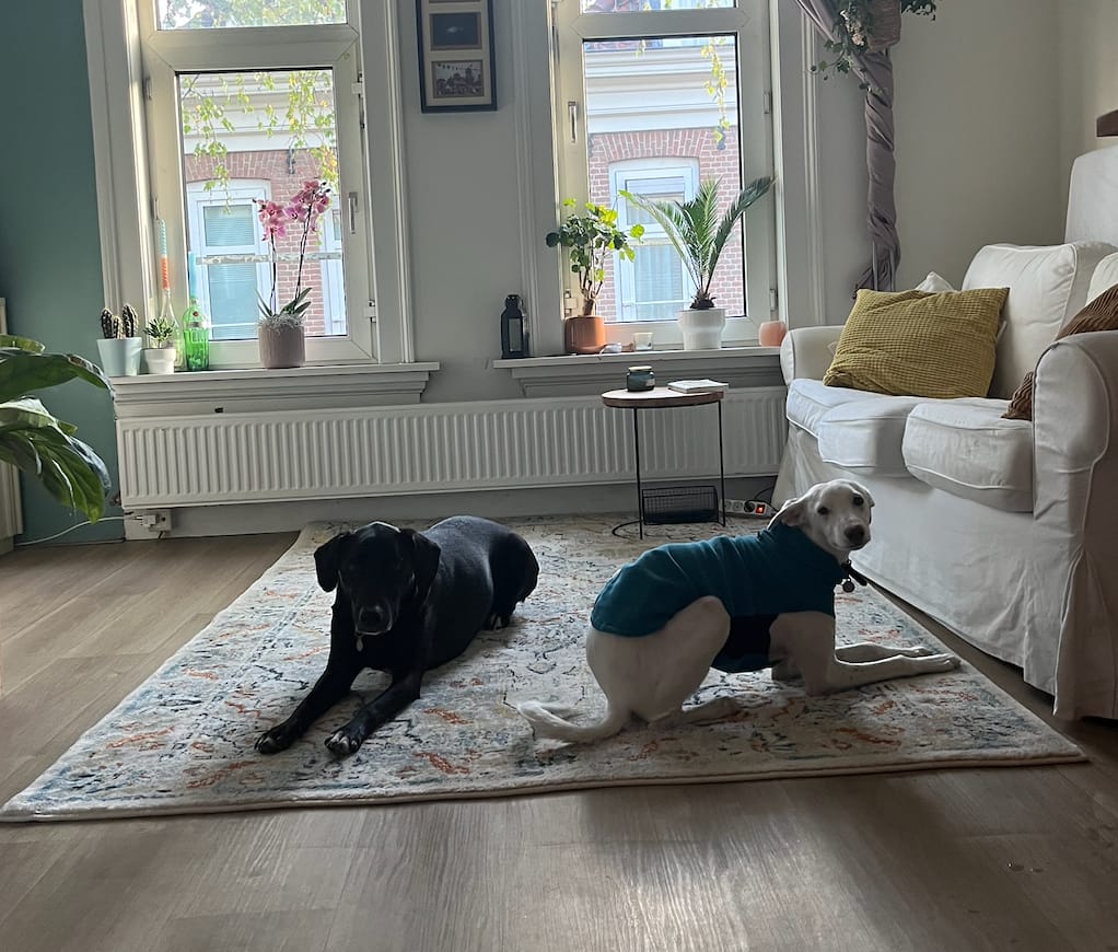 image-11