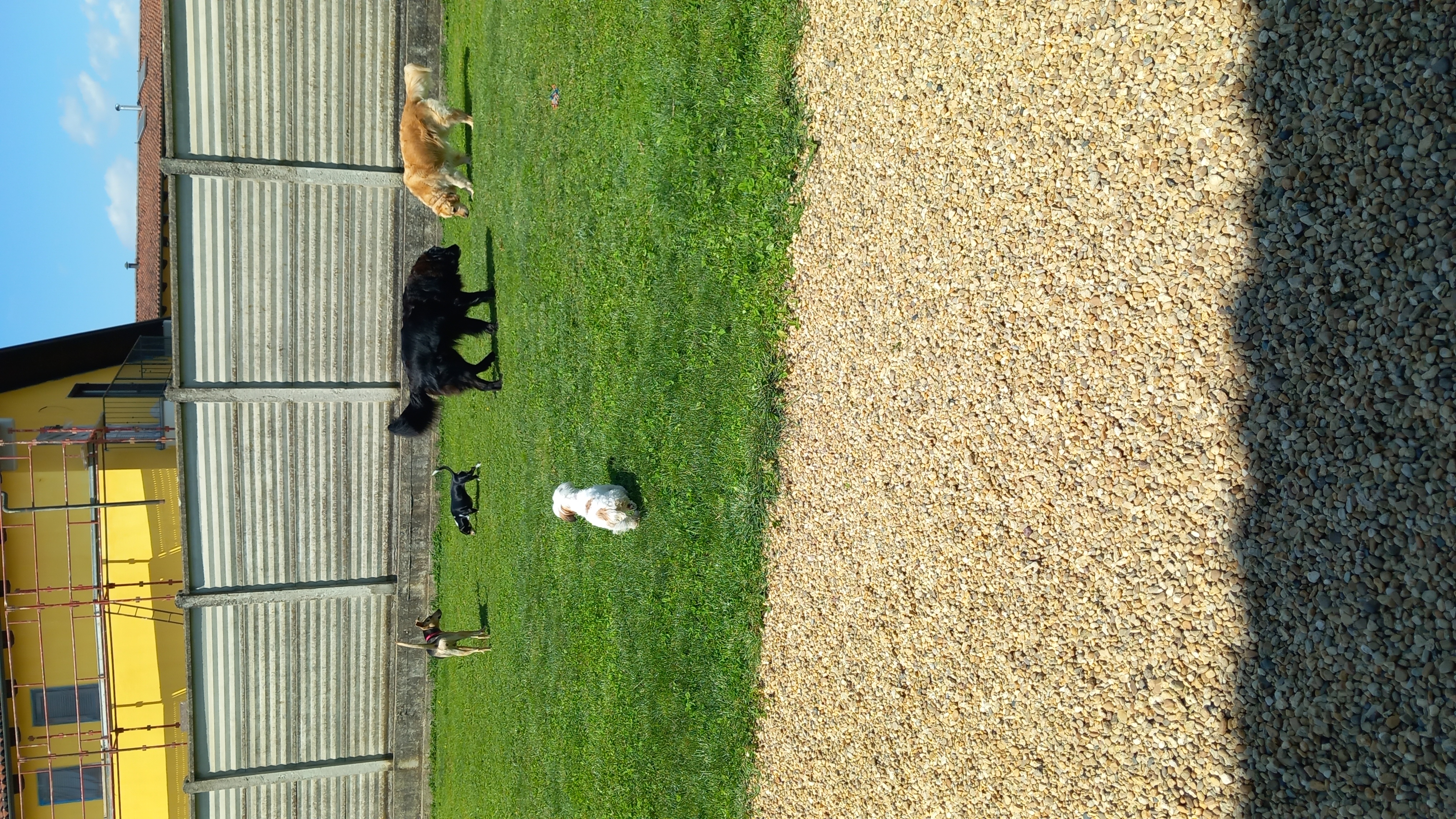 image-5