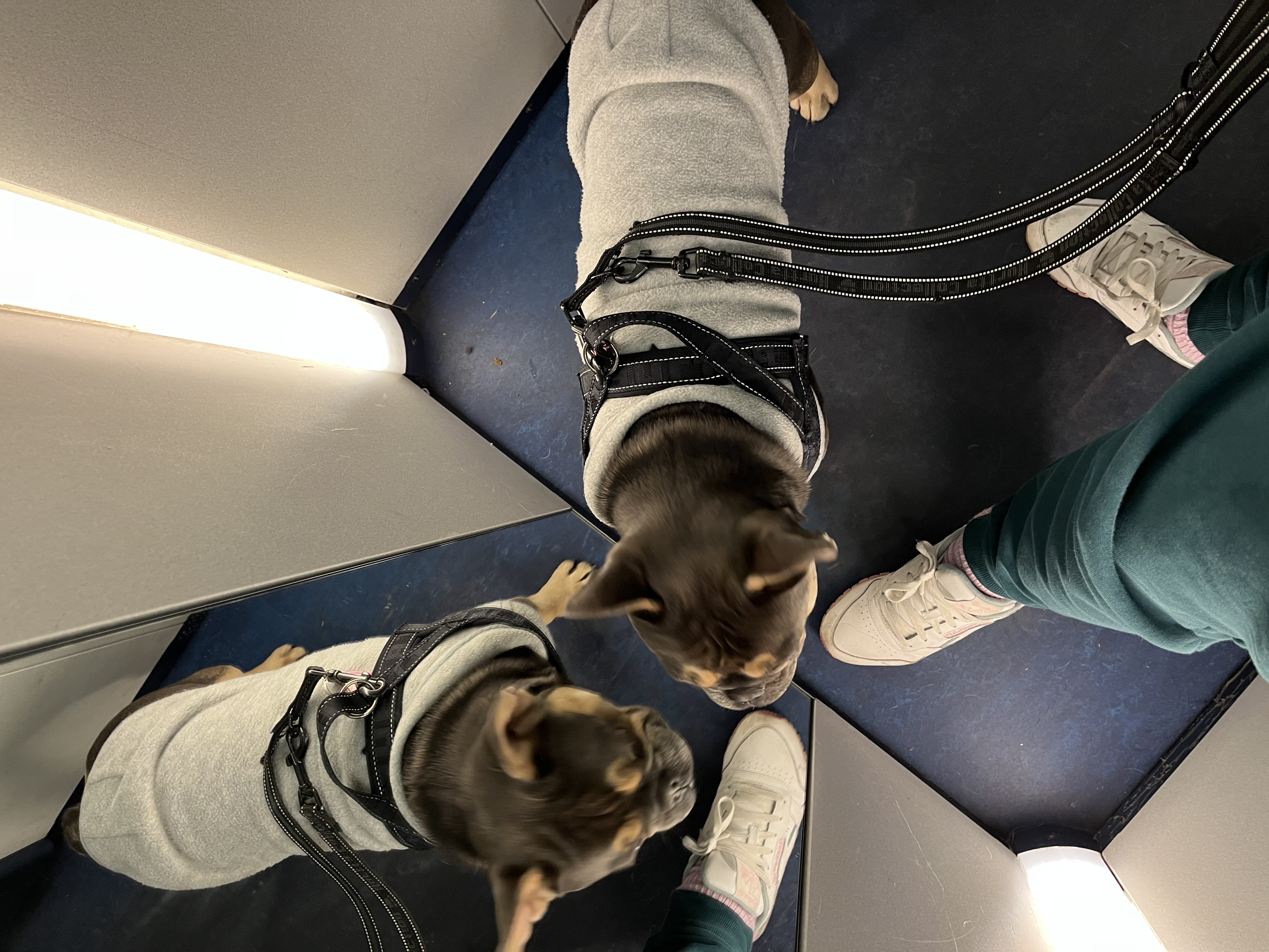 image-7