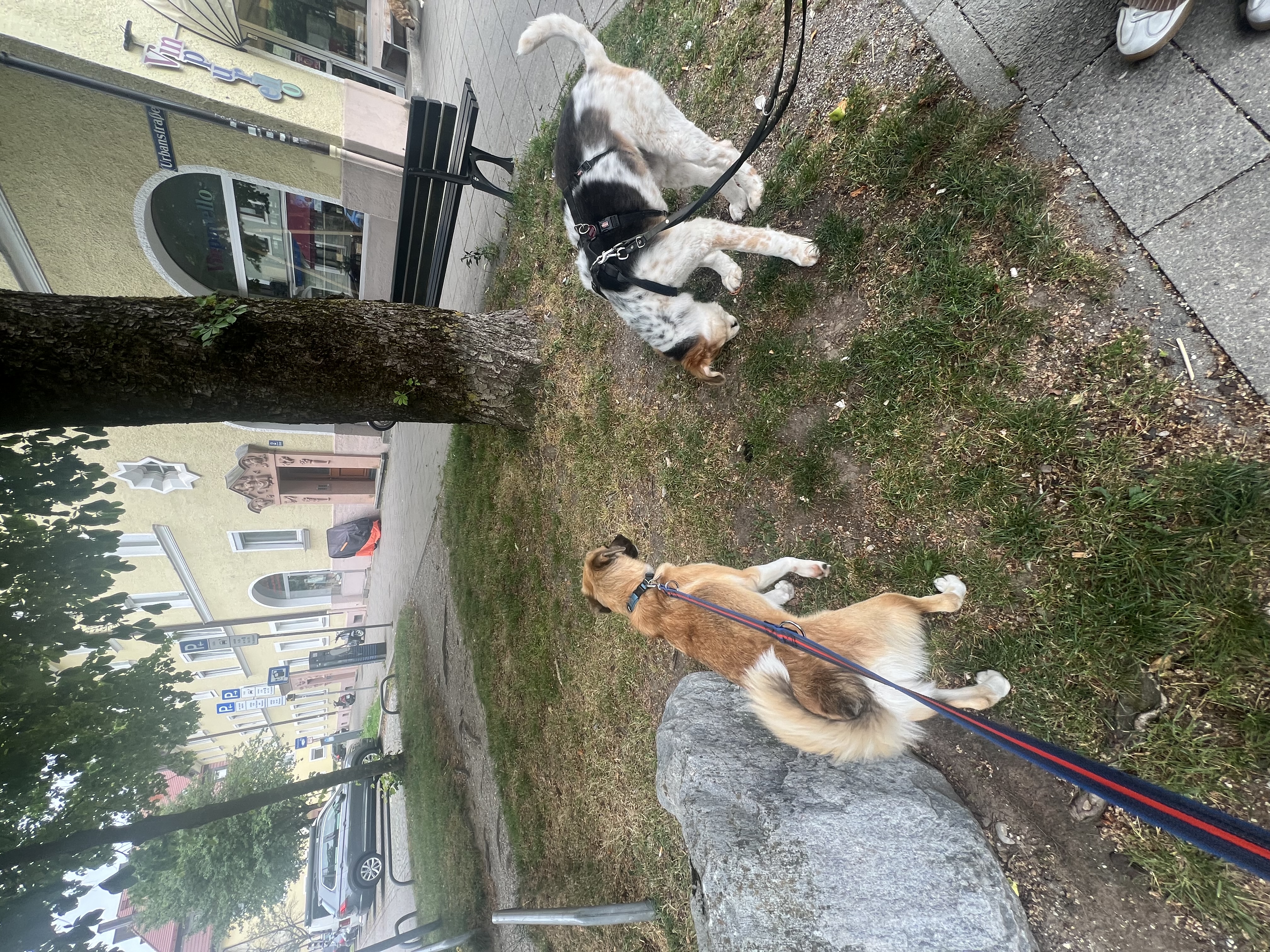 image-69