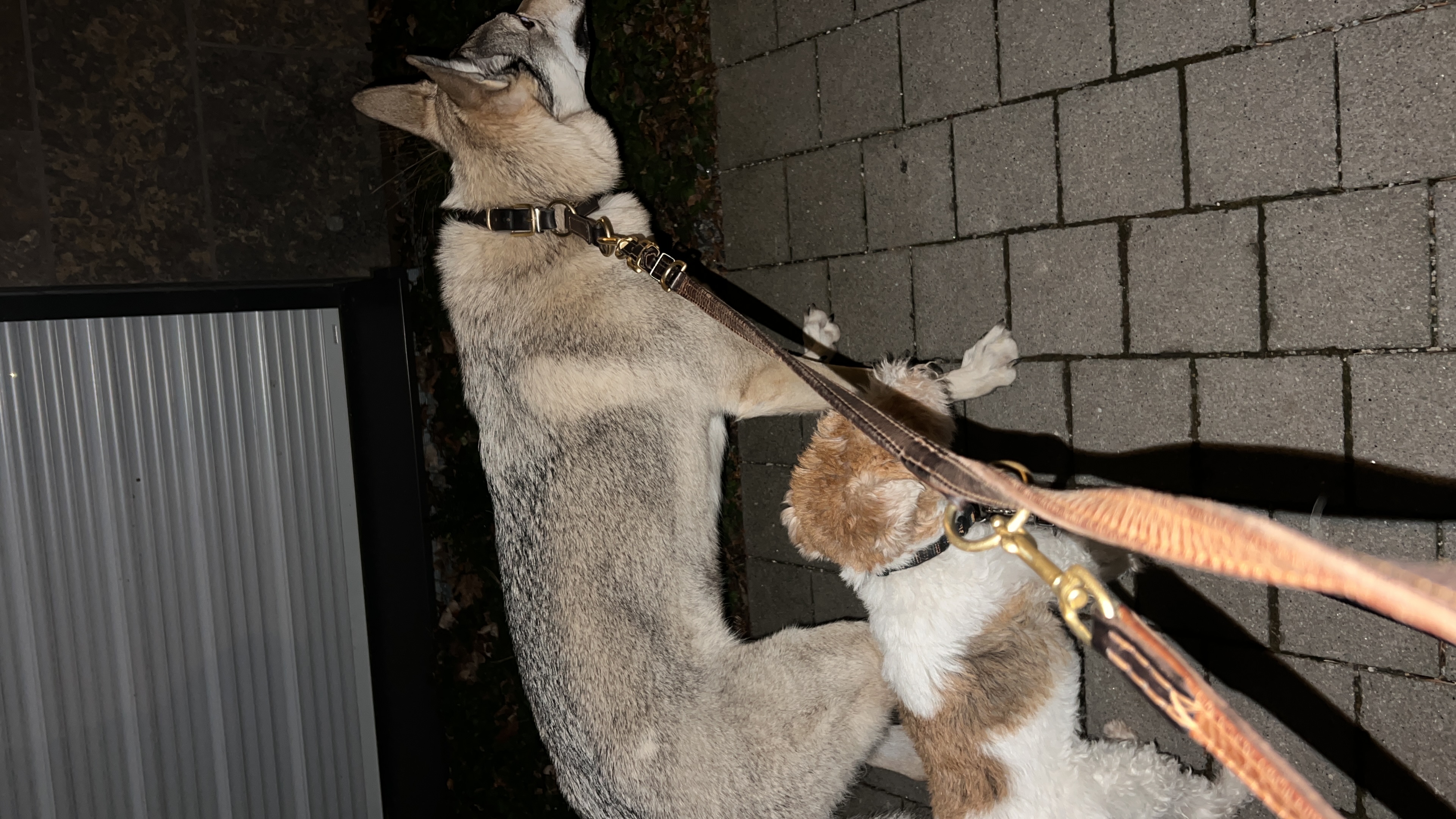 image-60