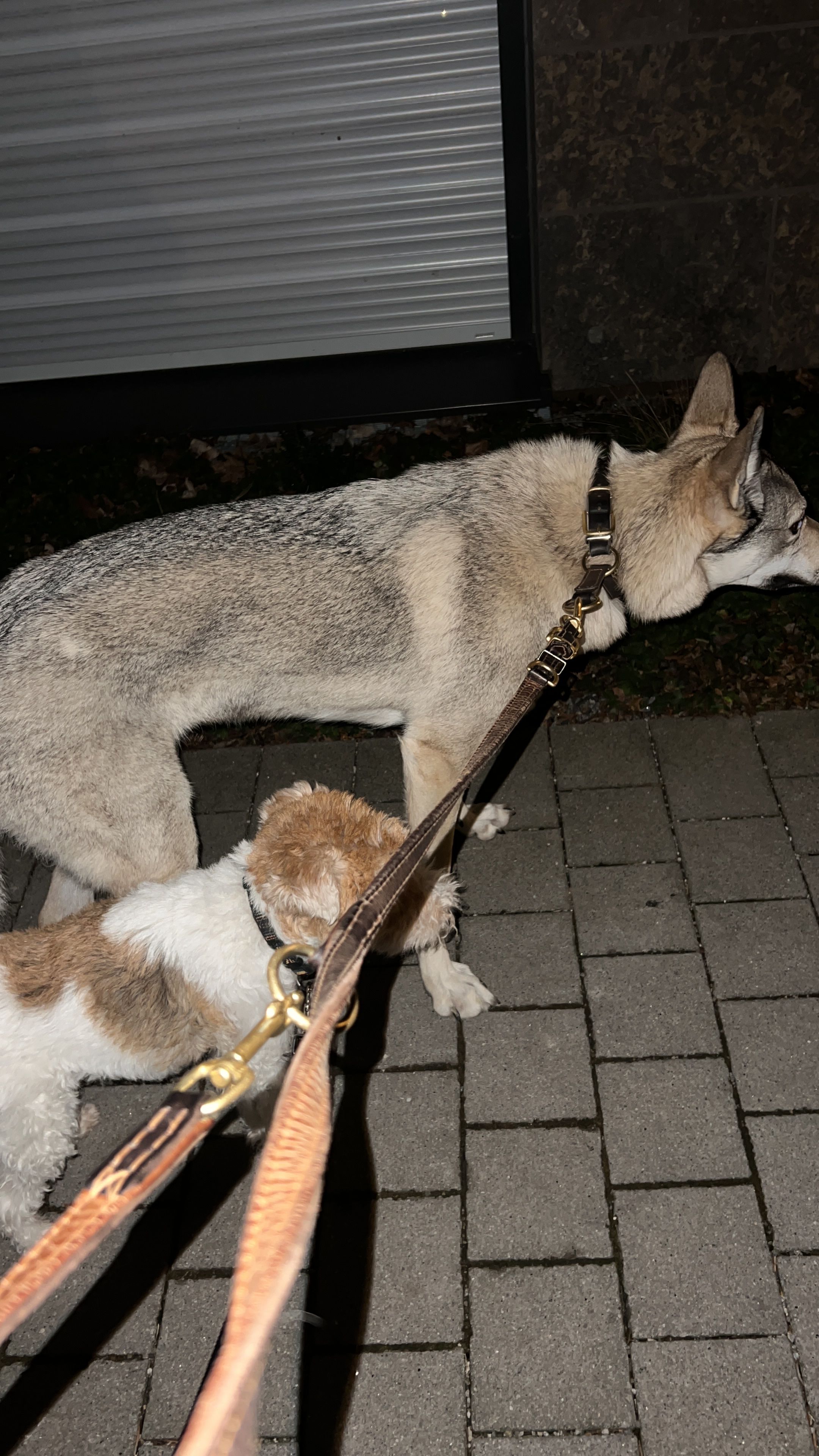 image-60