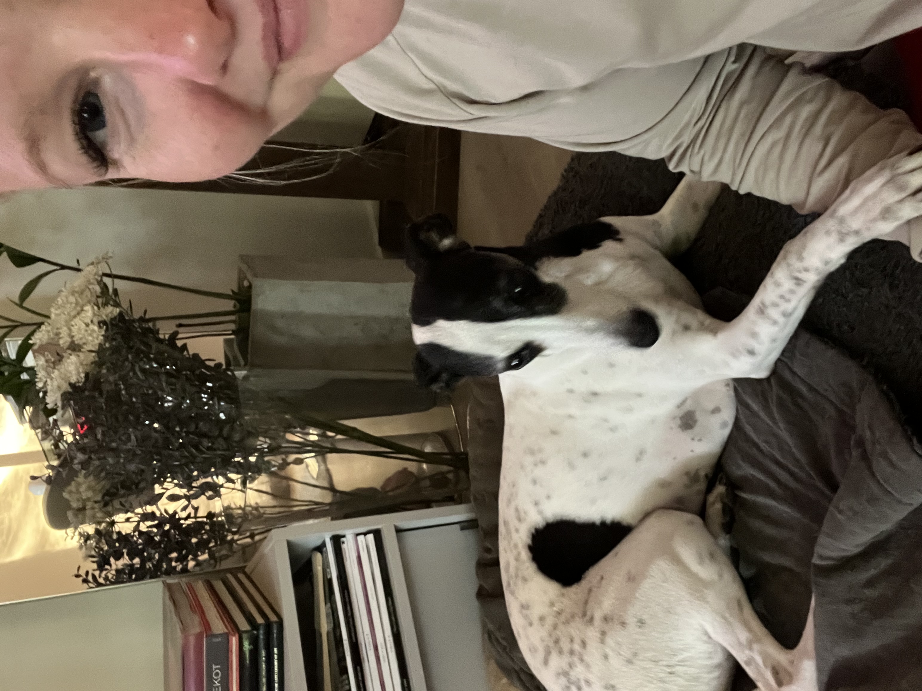 image-14