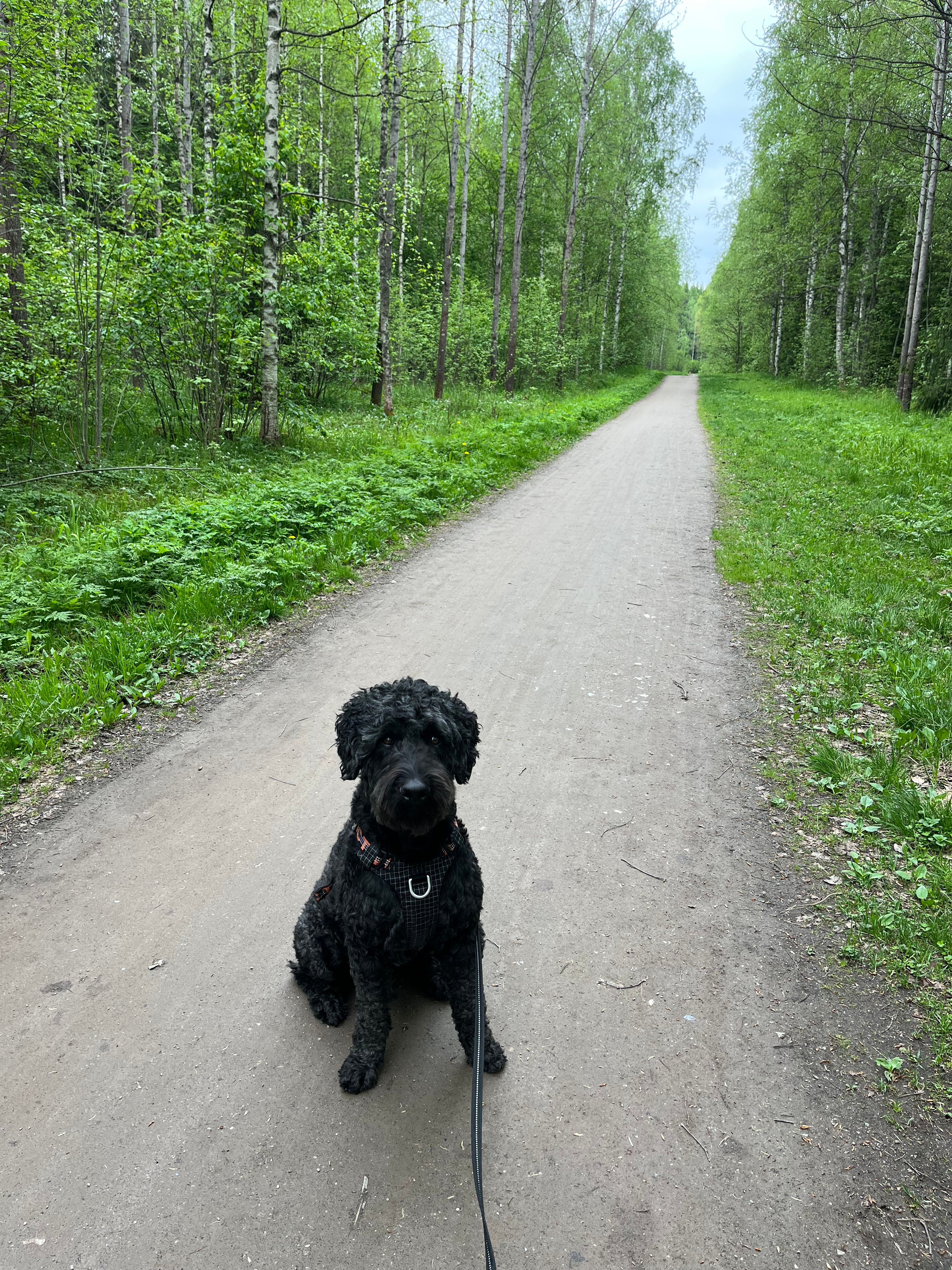 image-13