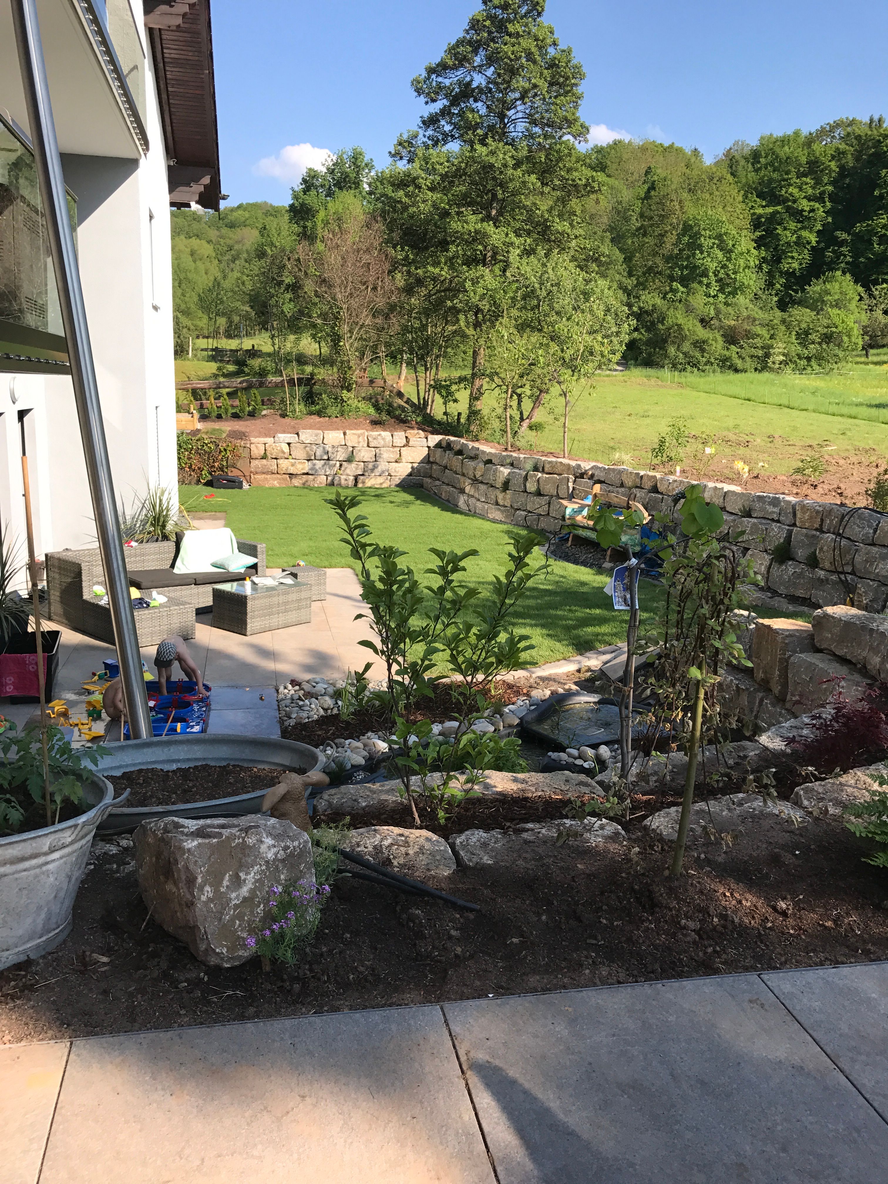 image-20
