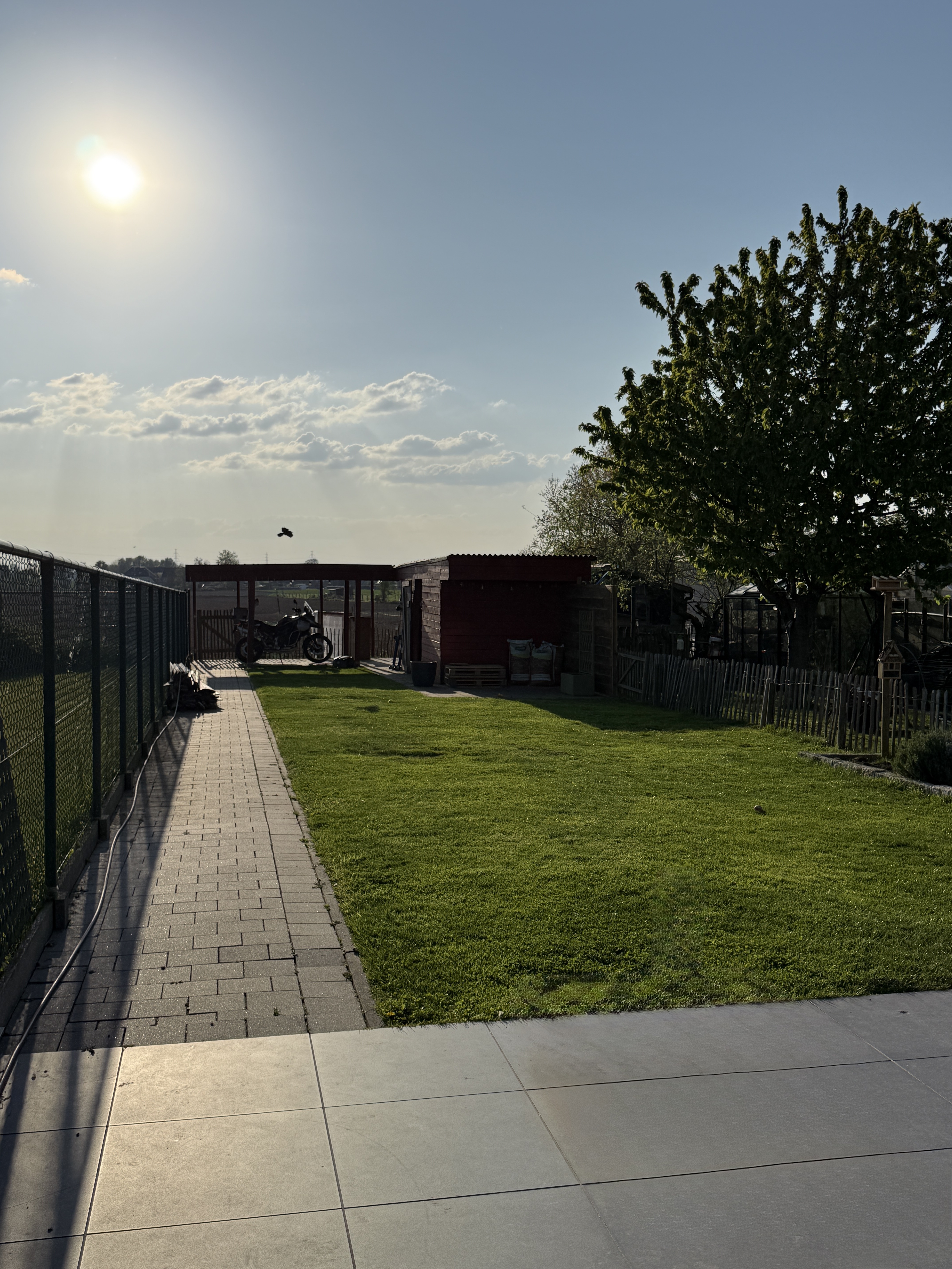 image-14