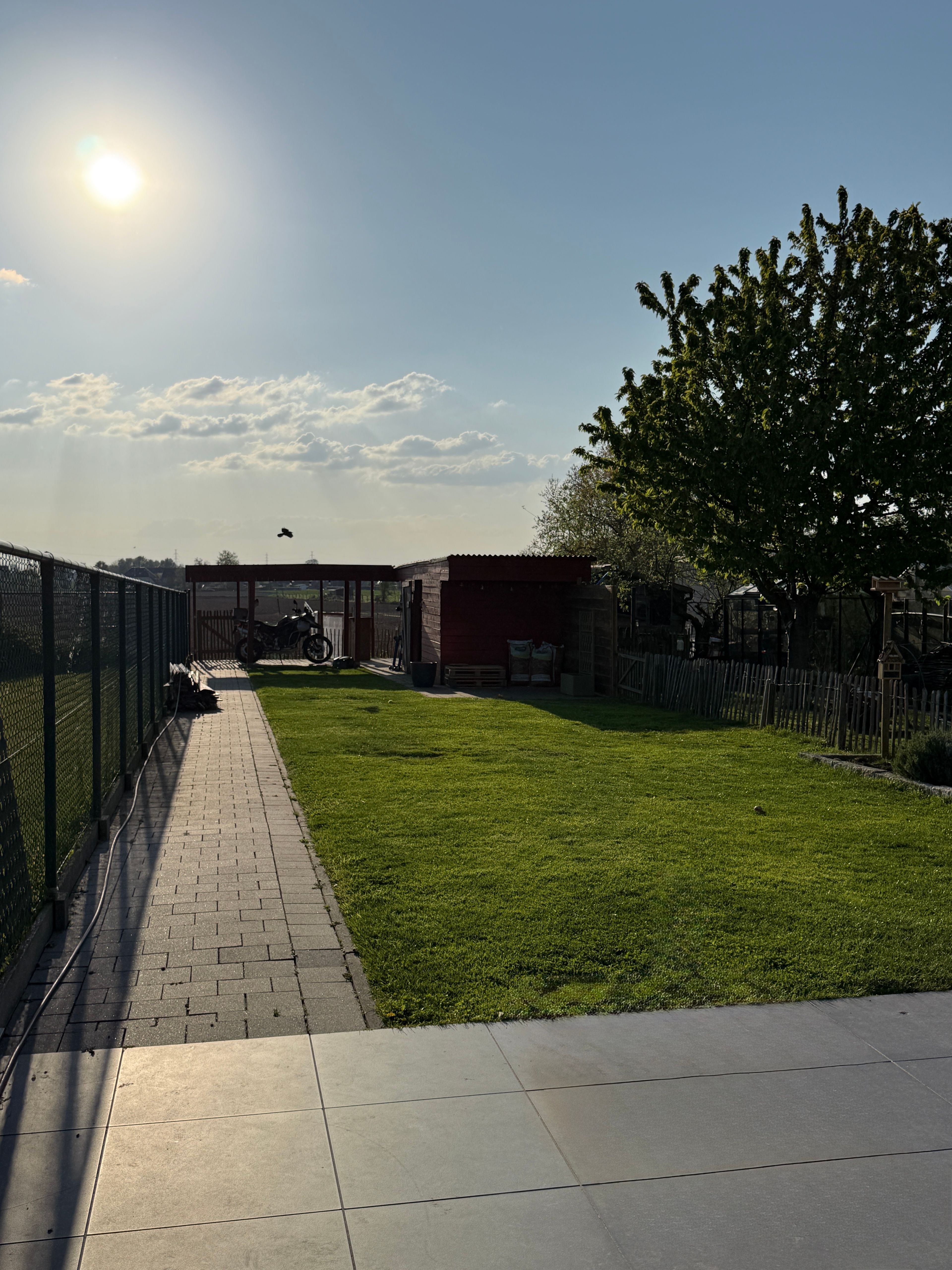 image-14