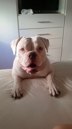 image-2