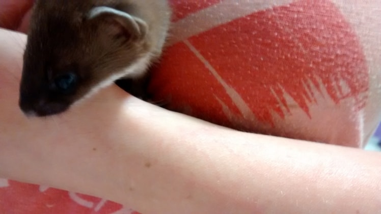 image-4