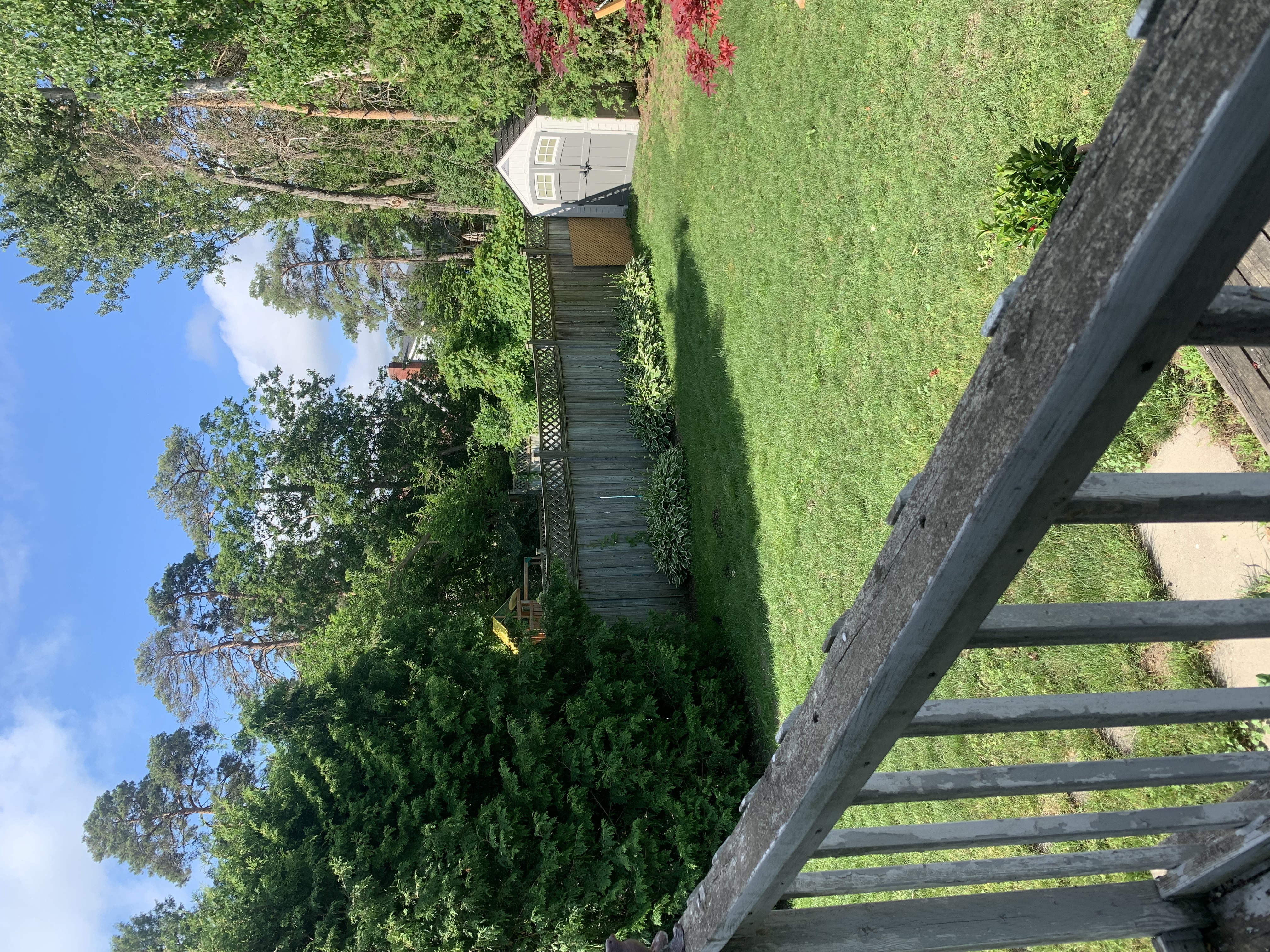 image-7