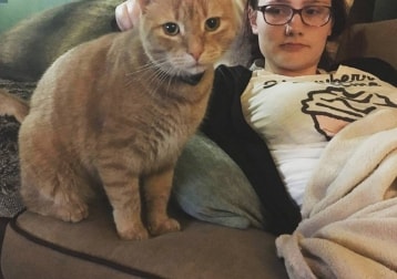 Archie 