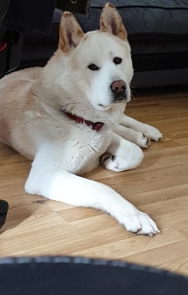 image-11