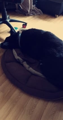 image-13