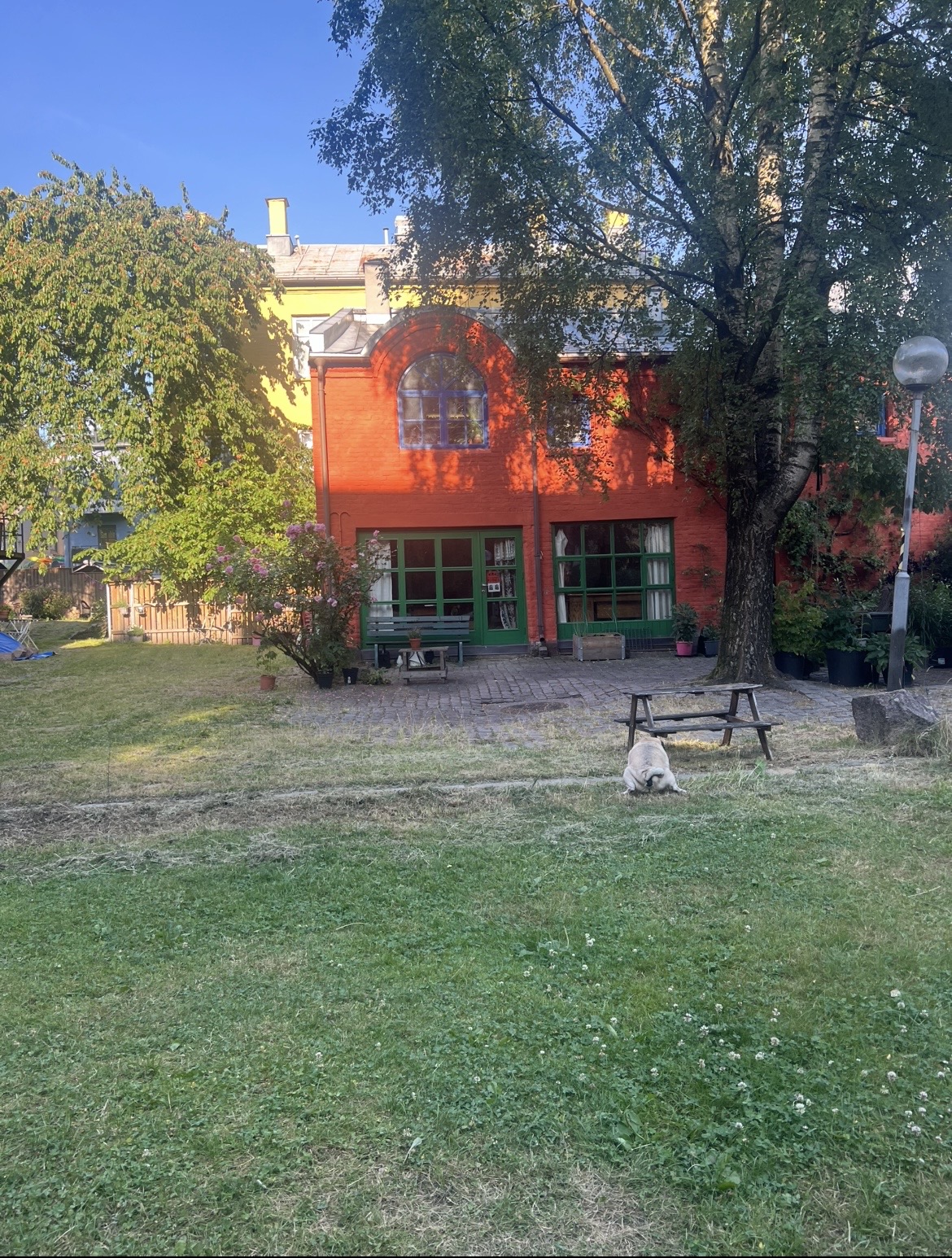 image-17