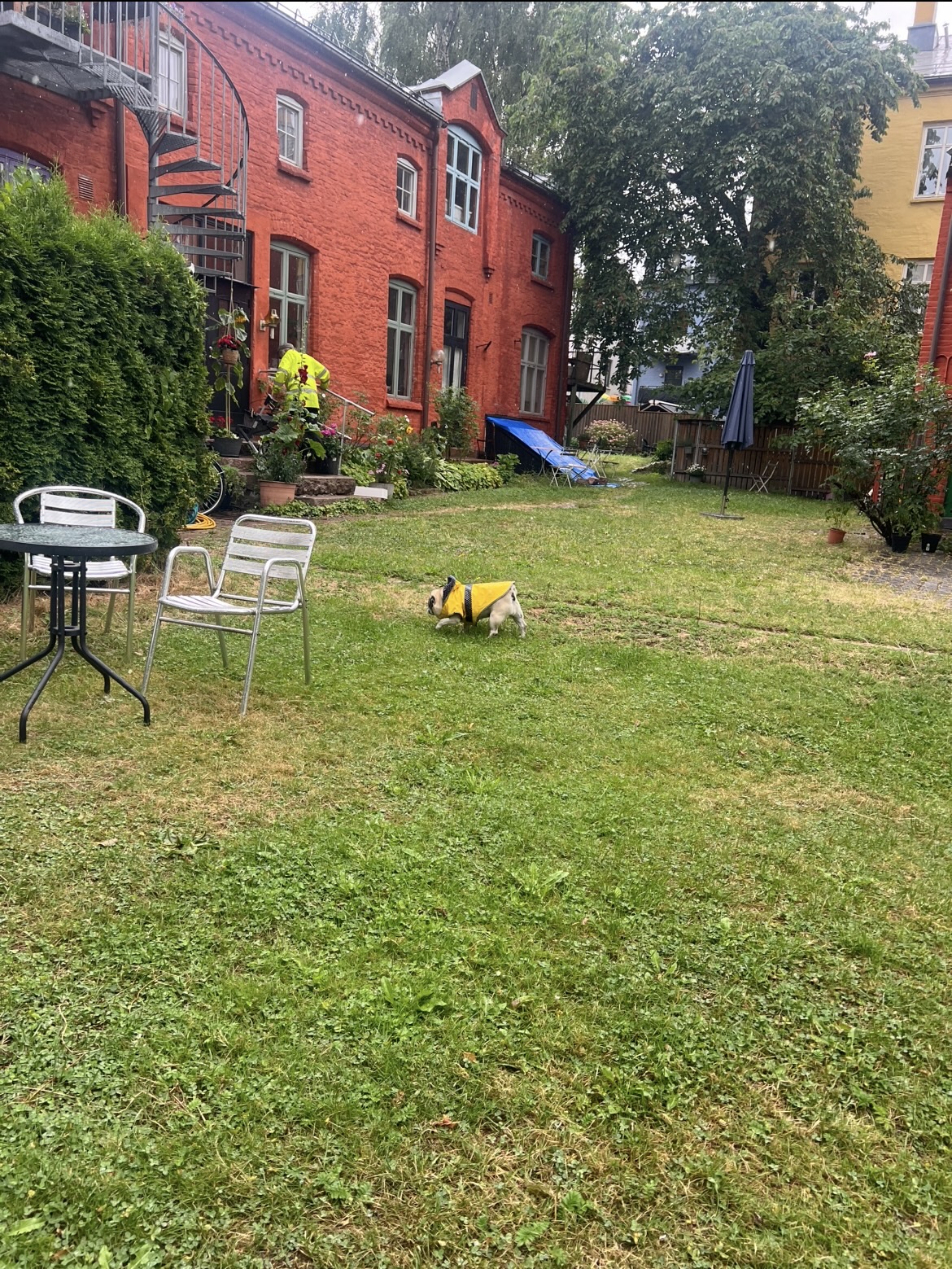 image-18