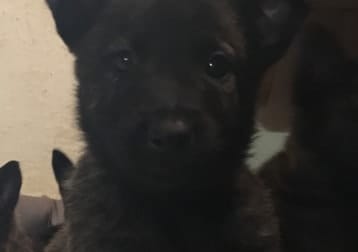 Oona