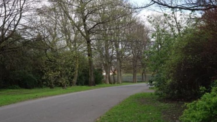 image-5
