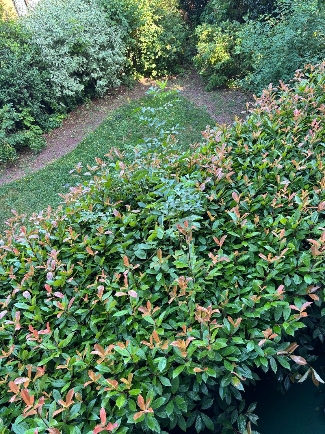 image-16