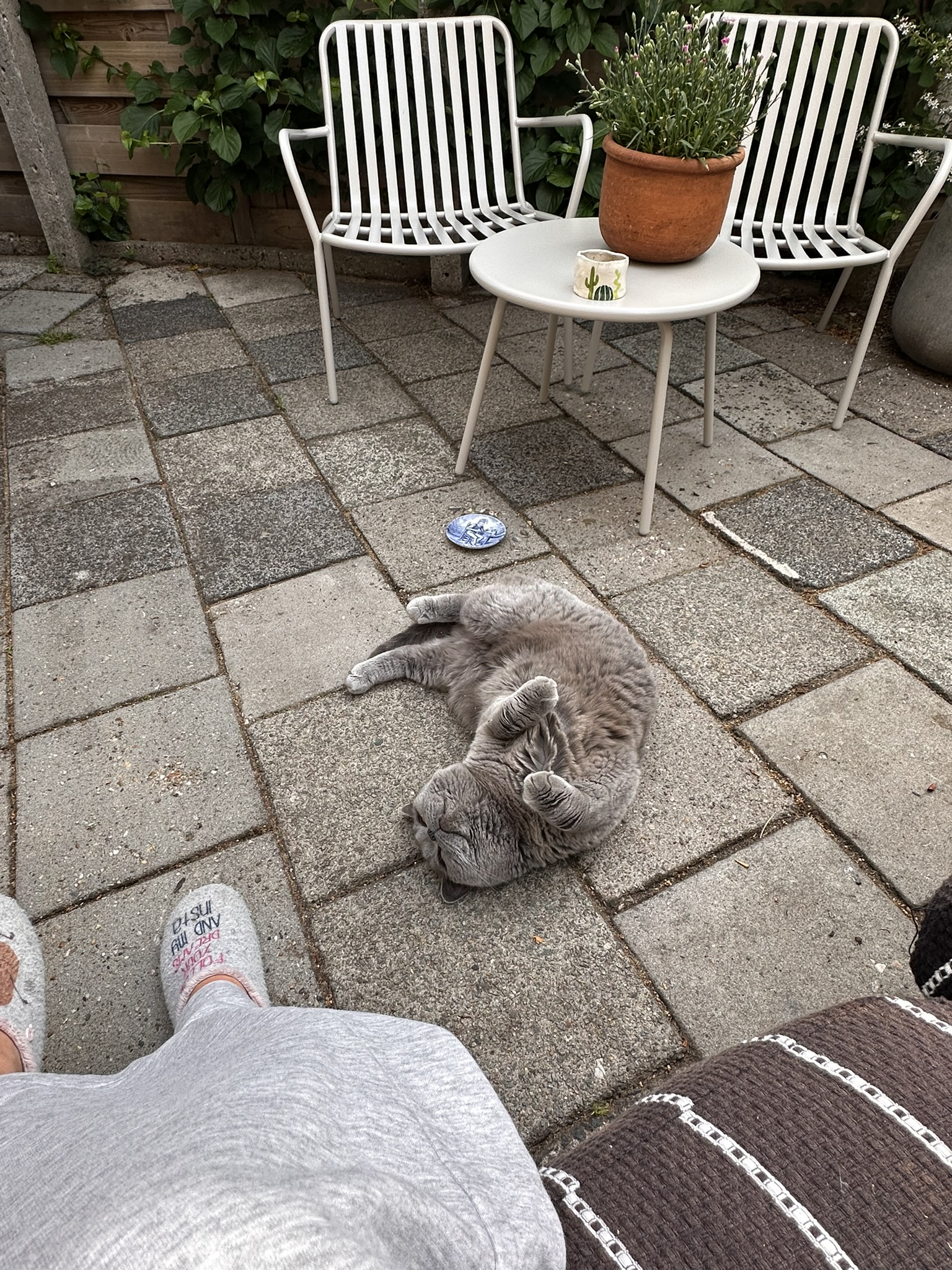 image-12