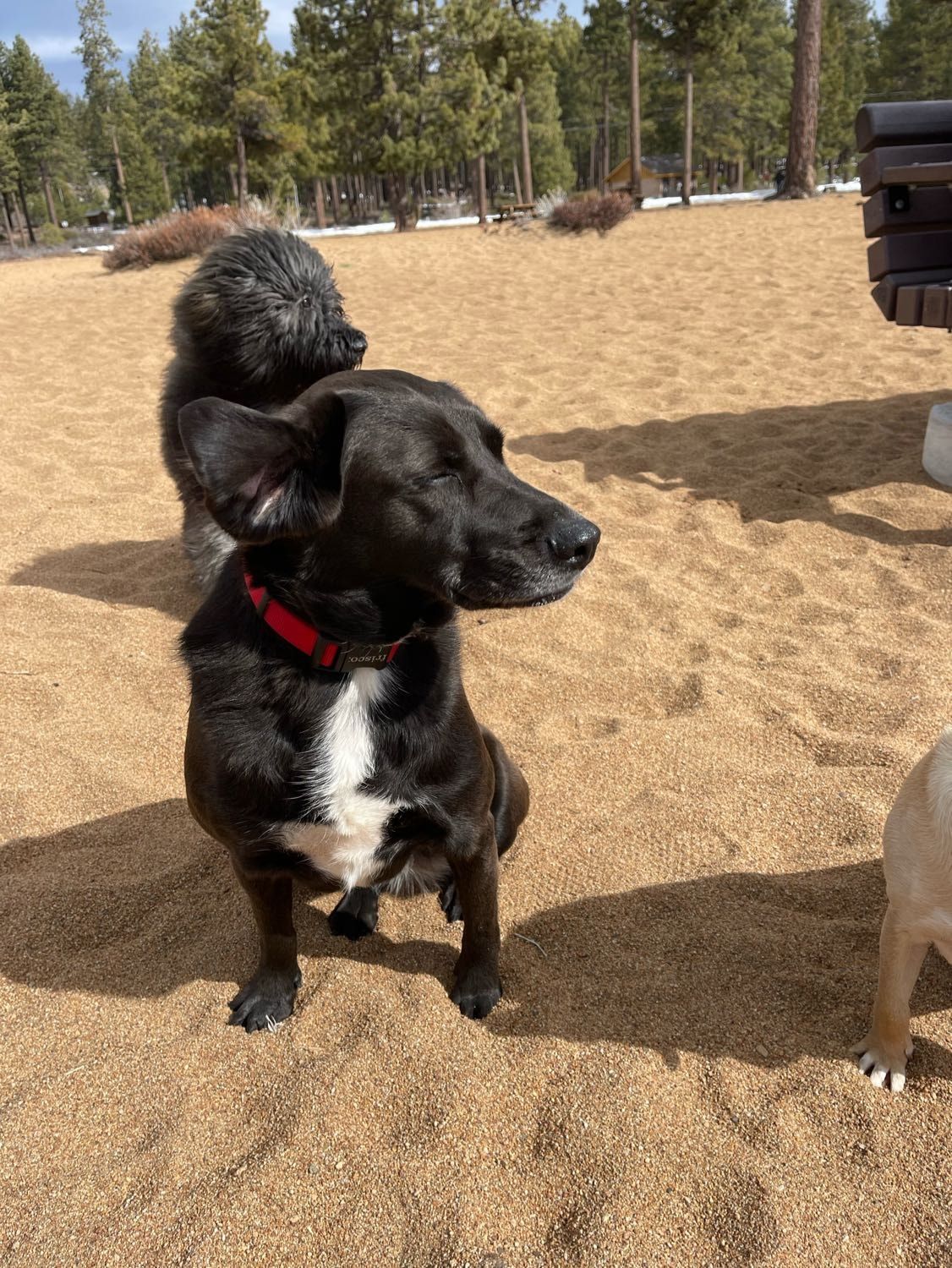 image-20