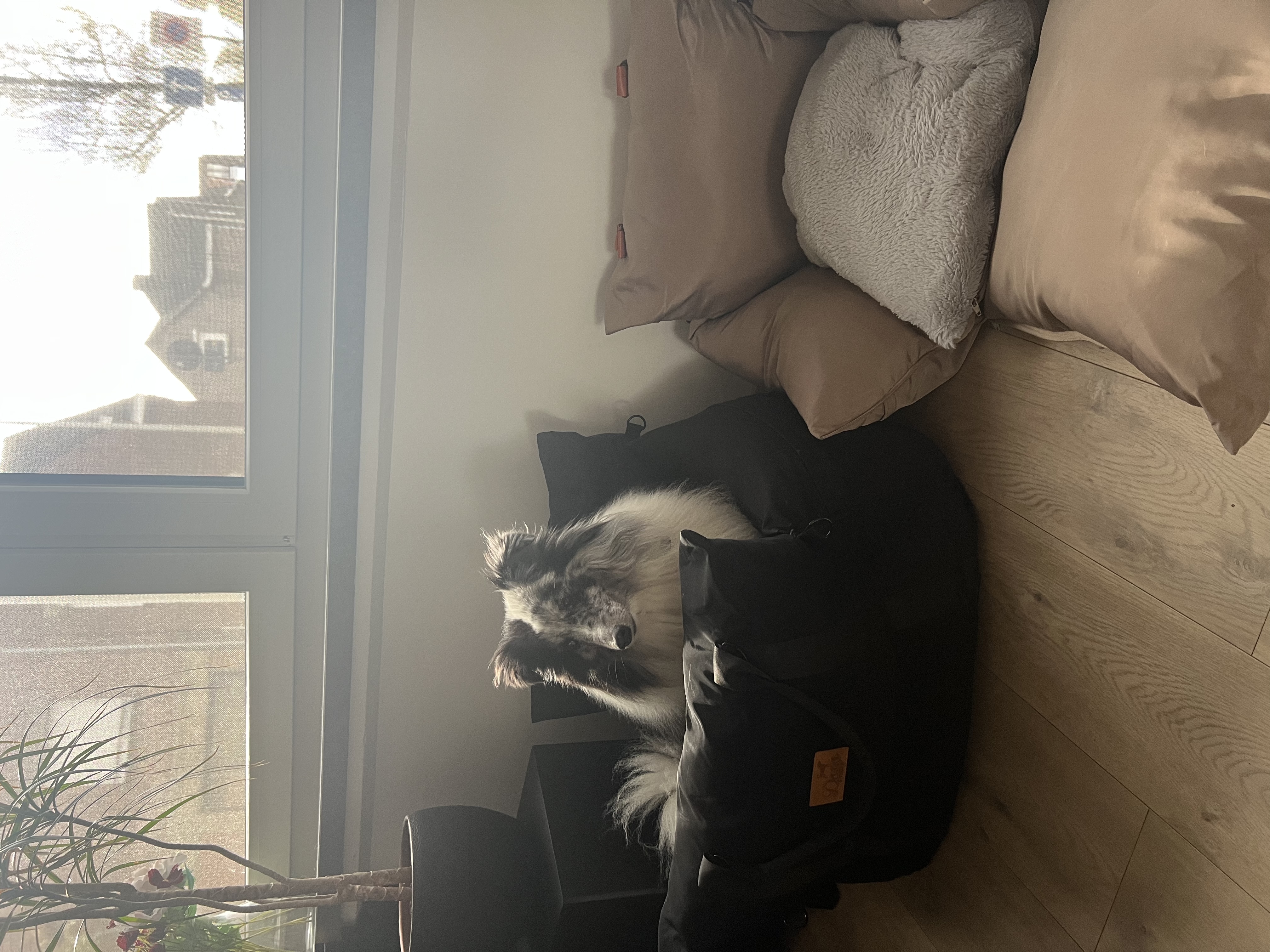 image-16