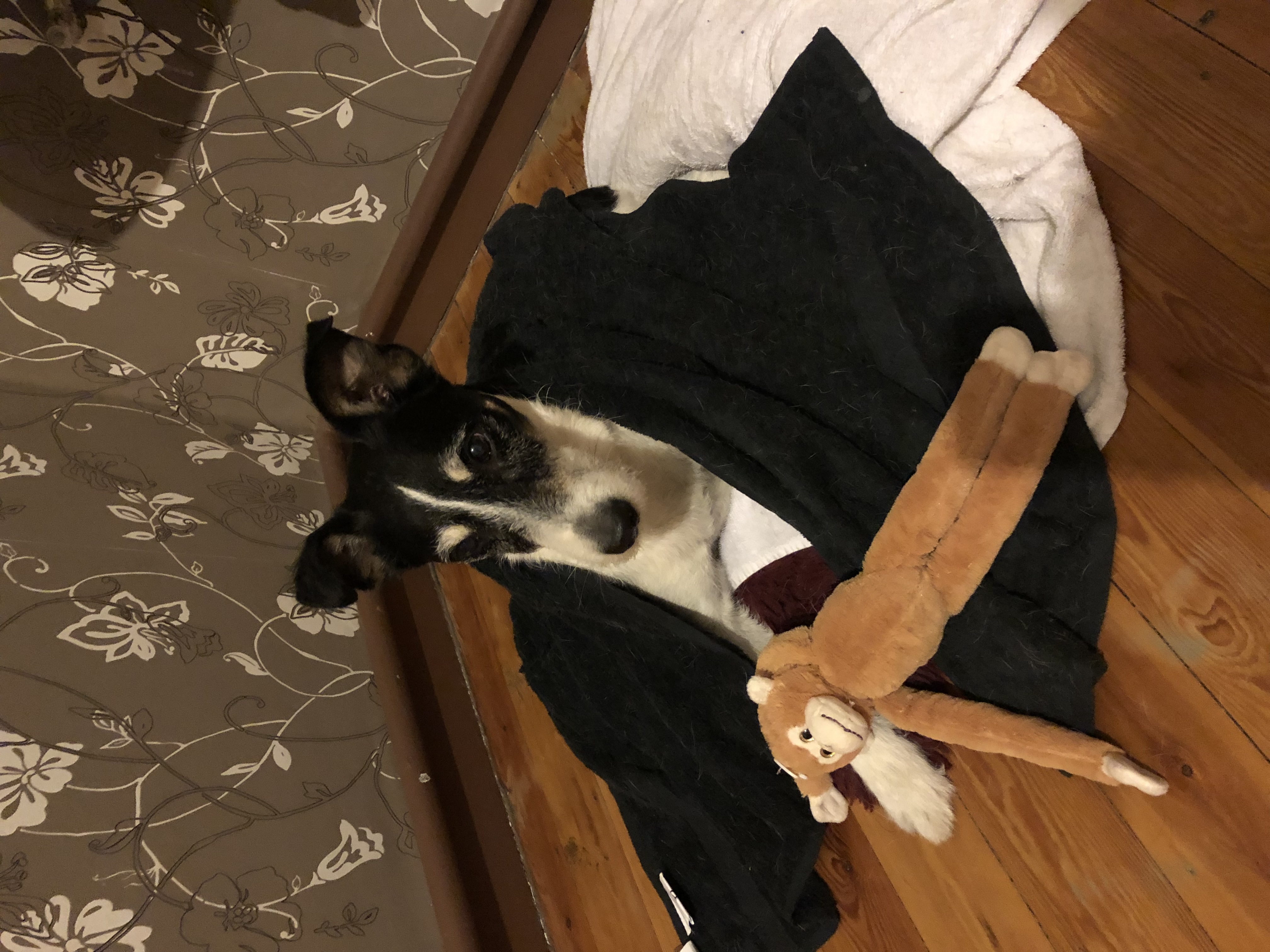 image-12