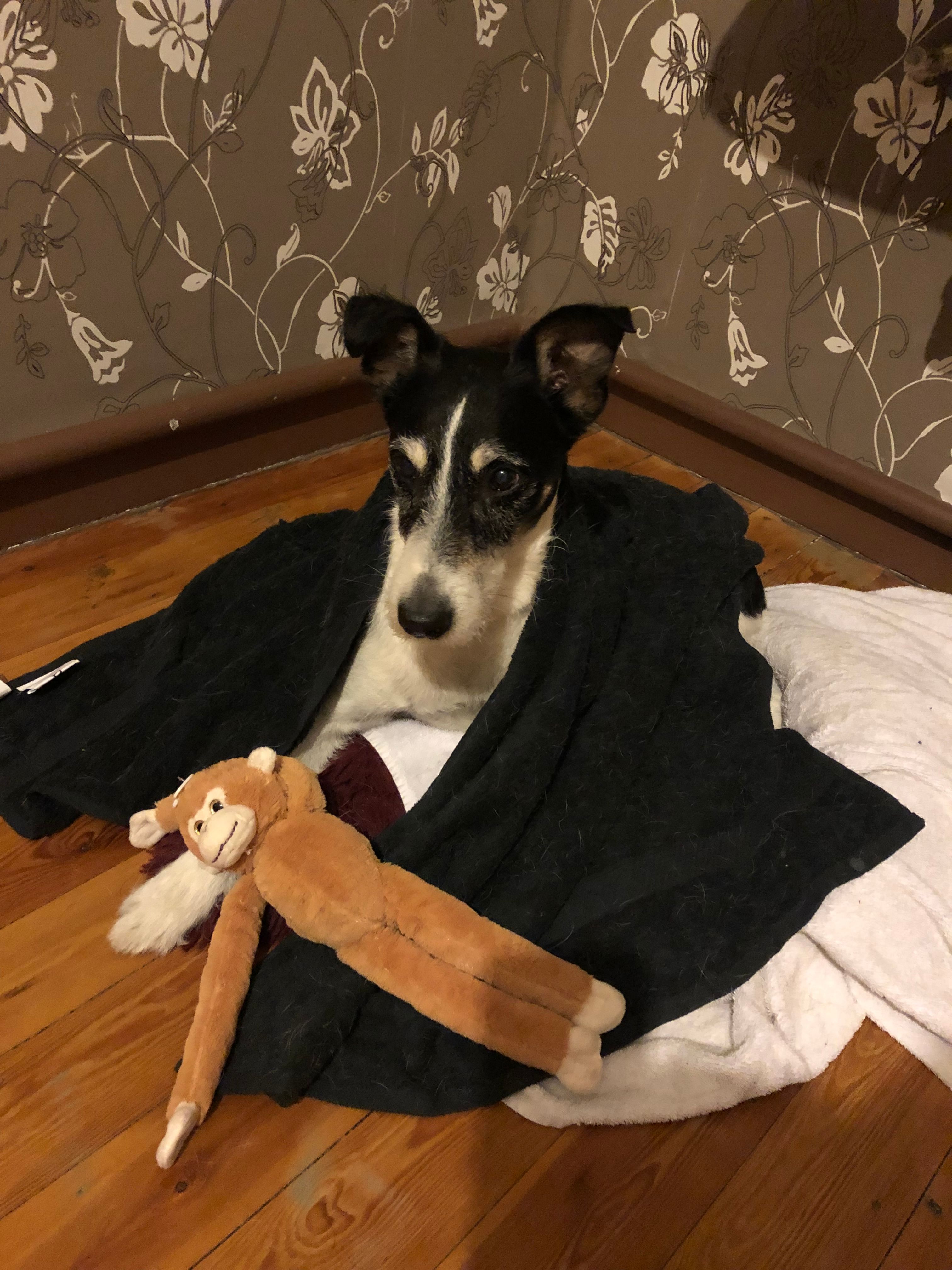 image-12